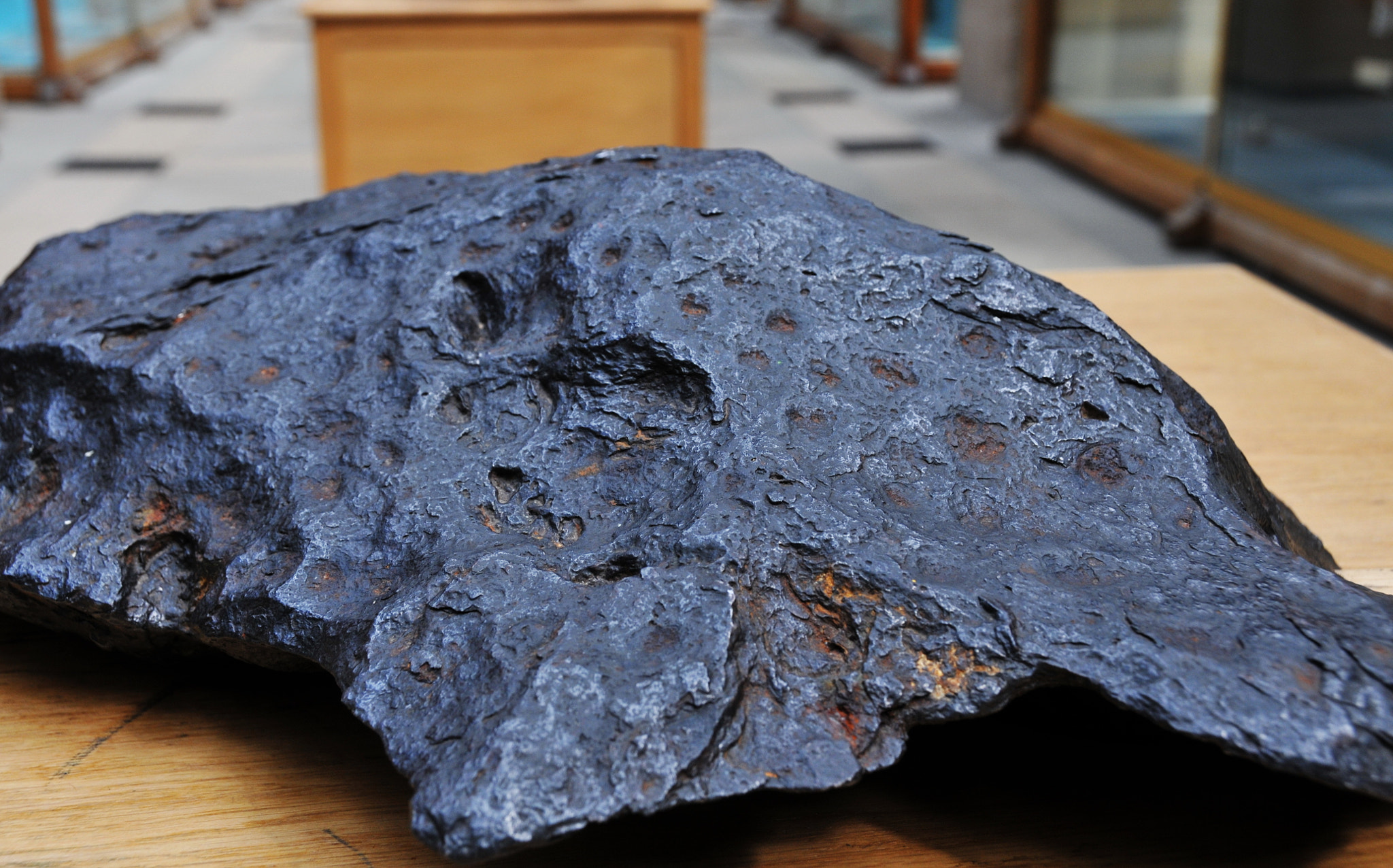 Nikon D300S sample photo. Oxford university museum of natural history photography