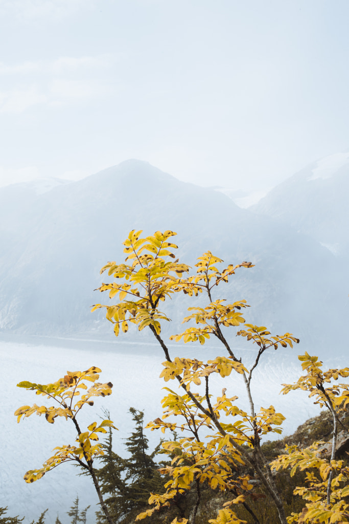 Autumn in Canada by Forrest Mankins on 500px.com