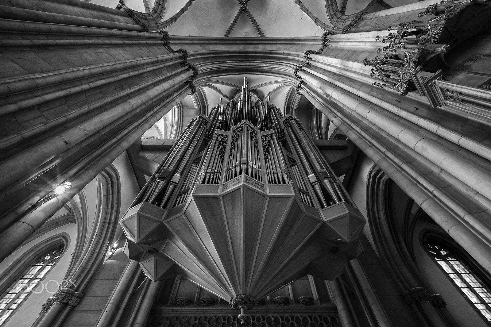 Voigtlander ULTRA WIDE-HELIAR 12mm F5.6 III sample photo. Pipes photography