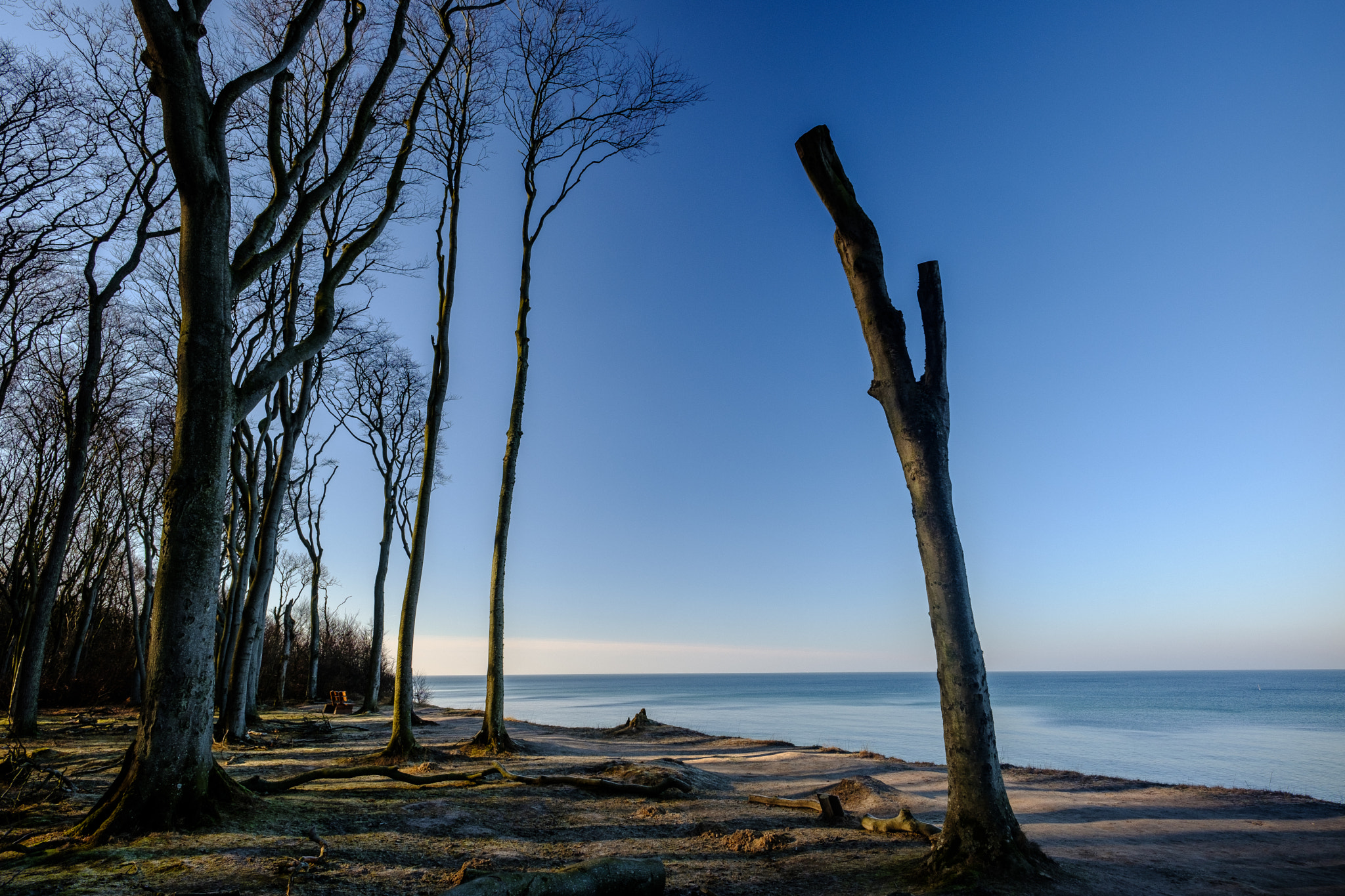 Fujifilm X-T2 + ZEISS Touit 12mm F2.8 sample photo. Gespensterwald nienhagen an der ostsee 2 photography