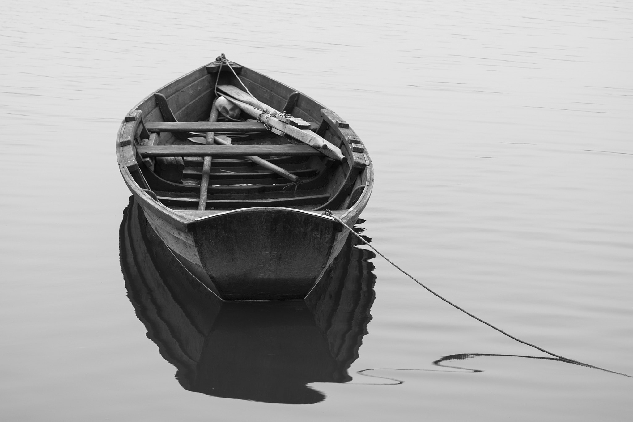 Nikon D5500 sample photo. Untitled photography