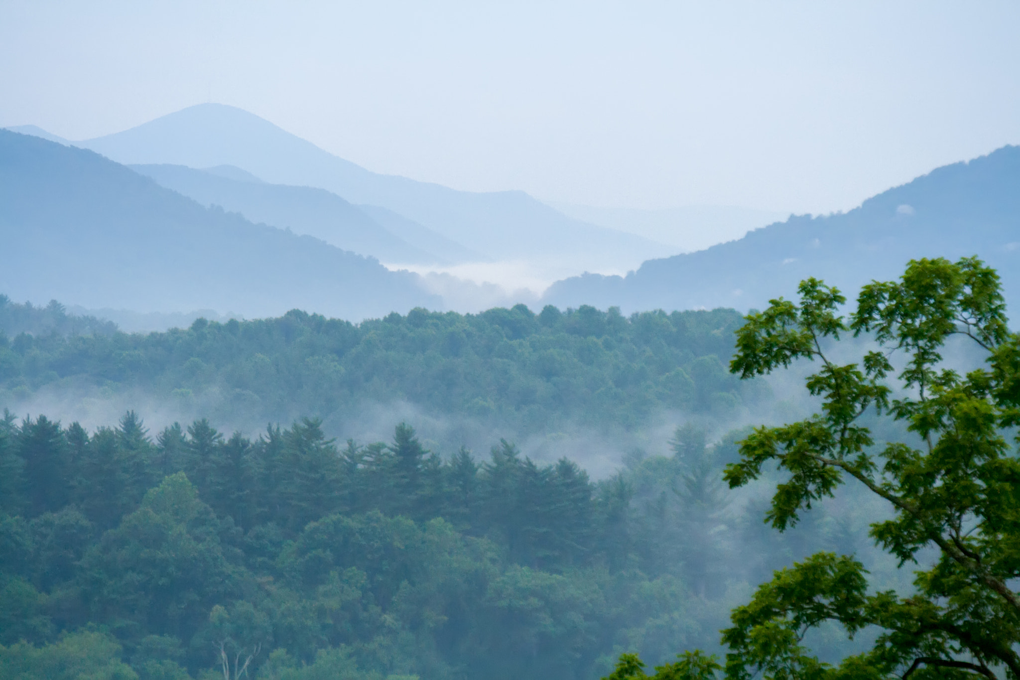 Canon EF 35-135mm f/4-5.6 USM sample photo. Misty valley photography