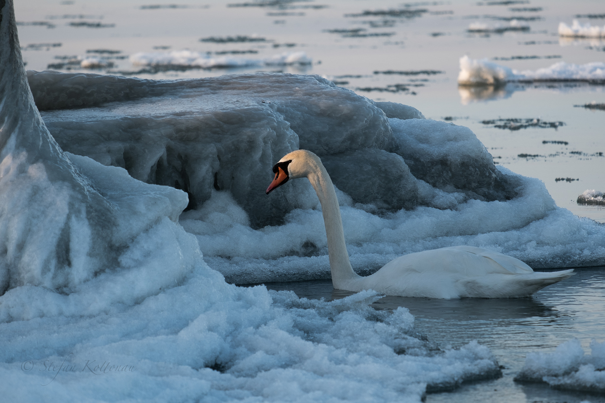 Fujifilm X-Pro2 + Fujifilm XF 55-200mm F3.5-4.8 R LM OIS sample photo. Don't tell me about cold feet! photography