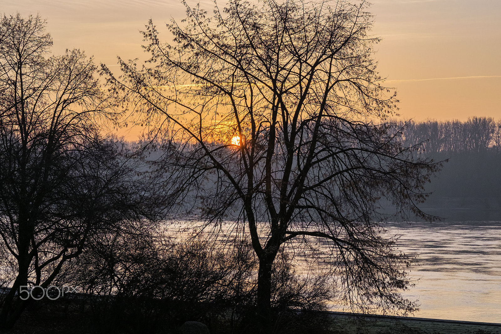 Fujifilm X-T10 + Fujifilm XF 56mm F1.2 R sample photo. Poland torun photography