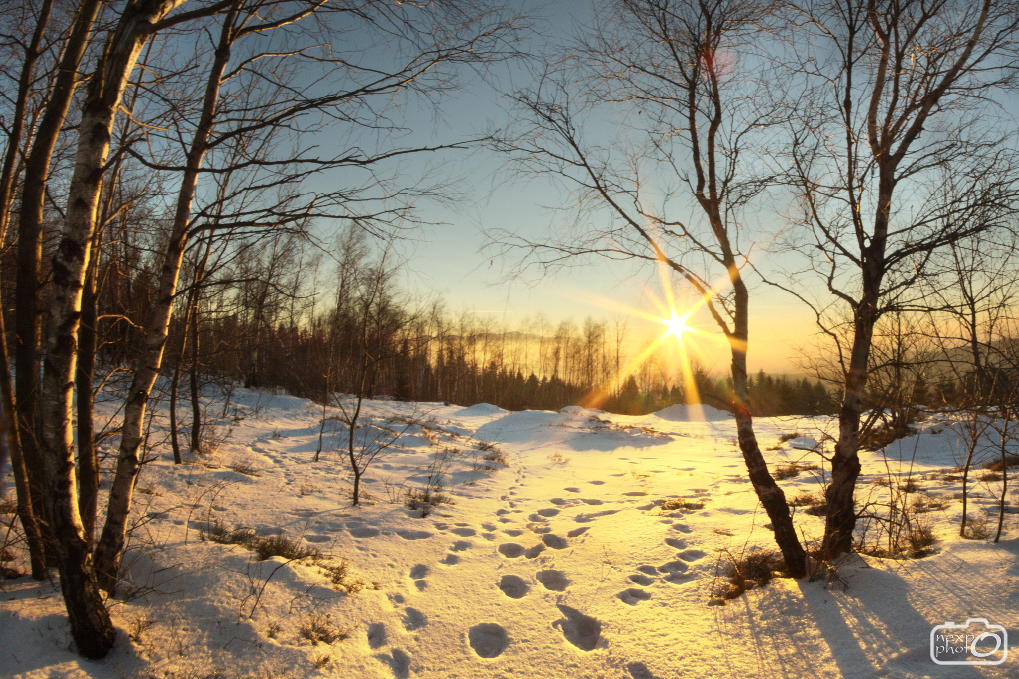 Nikon D7100 + Manual Lens No CPU sample photo. Sunset in forest with view on babia gora mountain photography