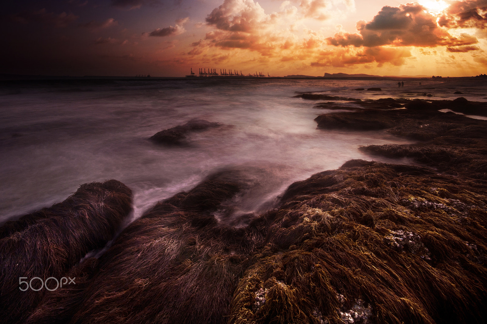 Canon EOS 40D + Sigma 10-20mm F4-5.6 EX DC HSM sample photo. Salalah beach photography