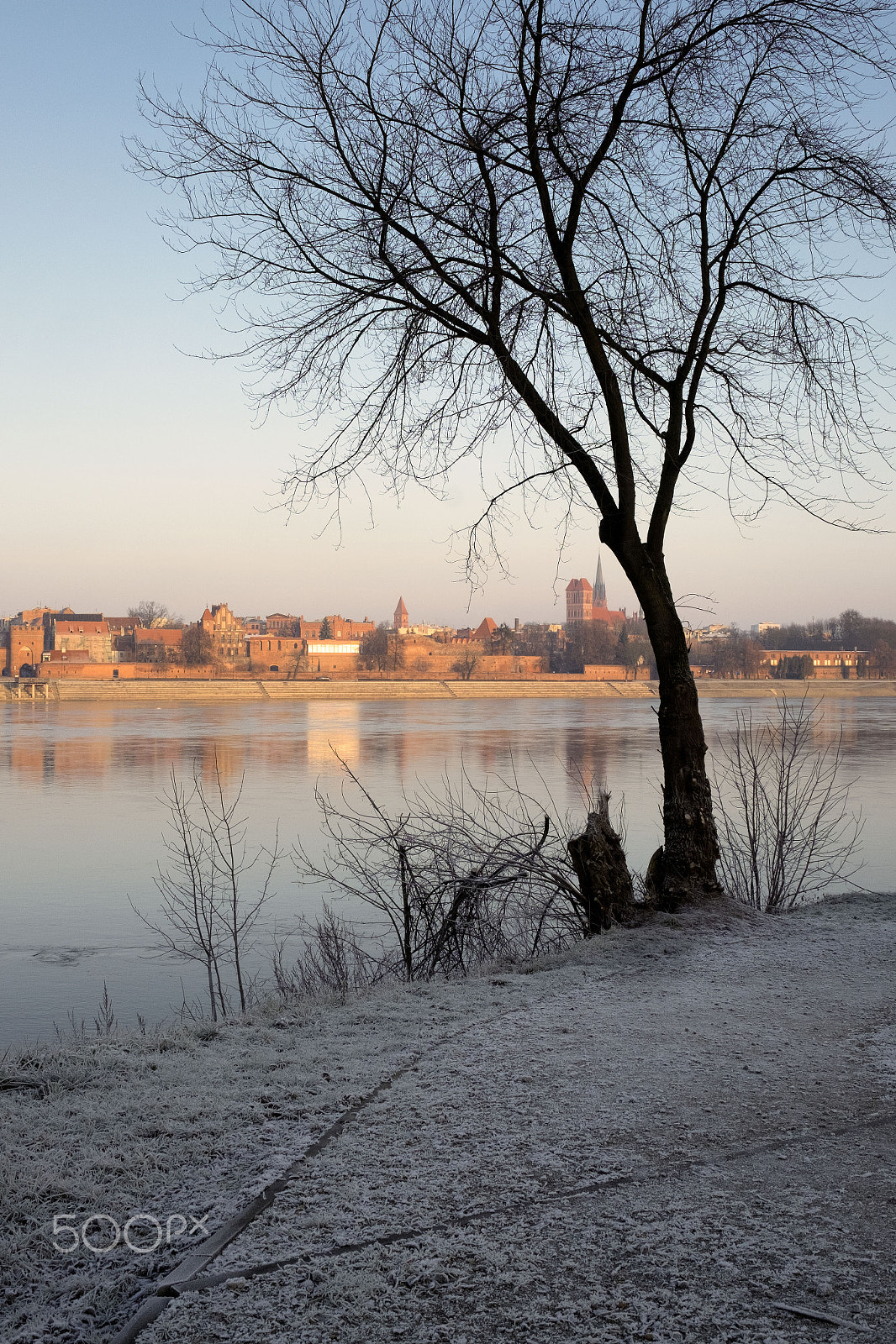 Fujifilm X-T10 + Fujifilm XF 23mm F1.4 R sample photo. Poland torun photography
