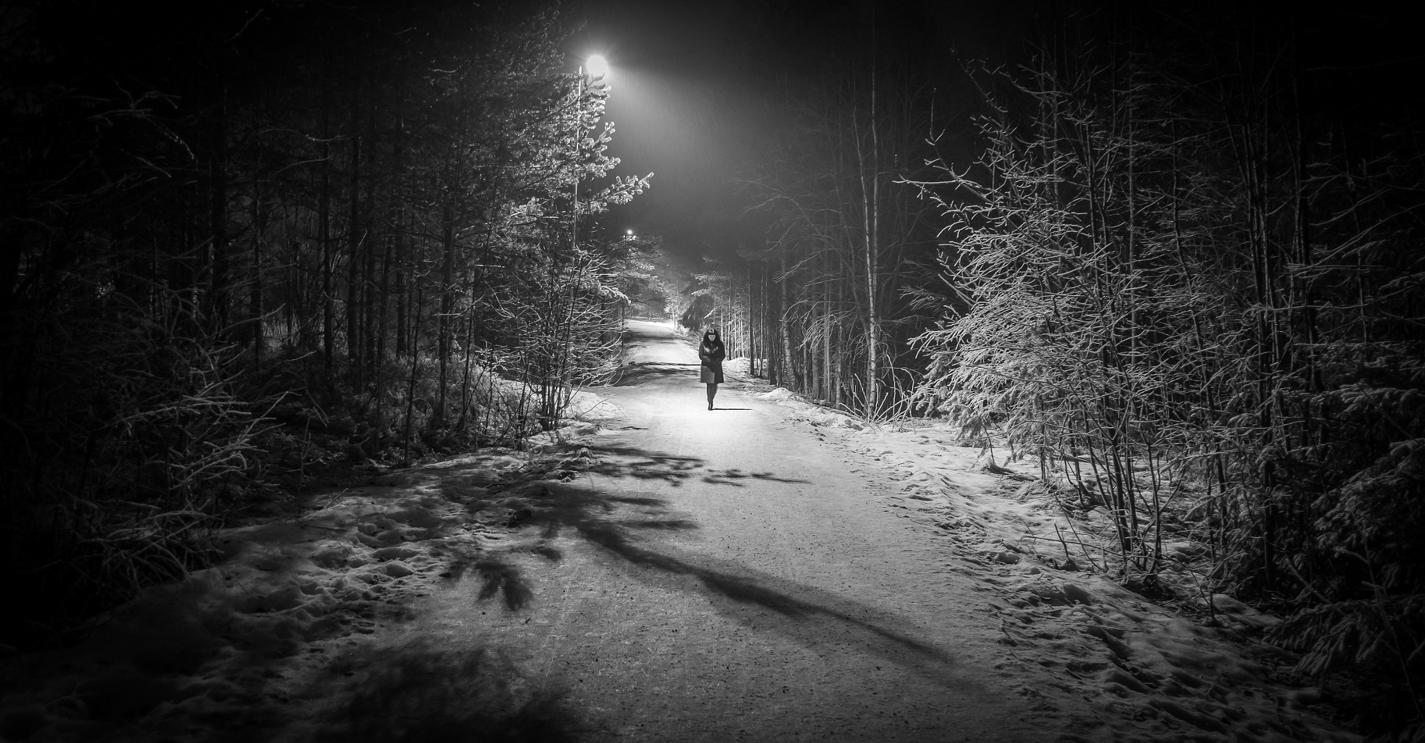 Fujifilm X-T1 + Fujifilm XF 18mm F2 R sample photo. Forest photography