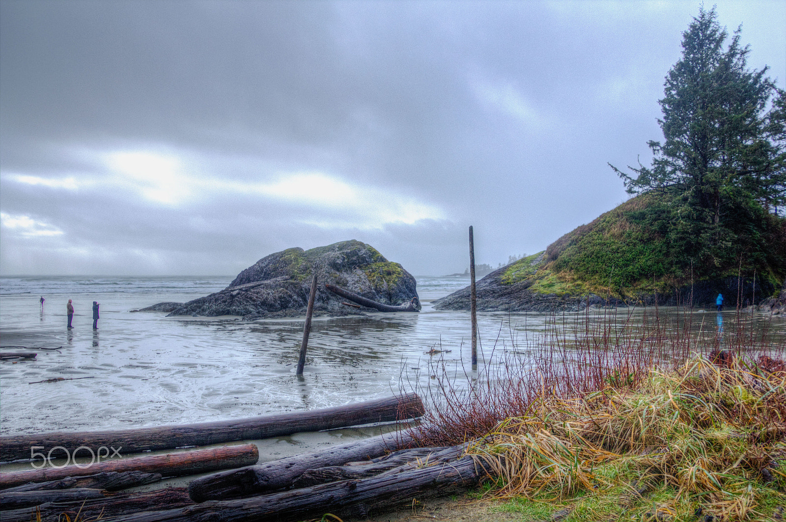 Canon EOS 550D (EOS Rebel T2i / EOS Kiss X4) sample photo. Overcast shoreline photography