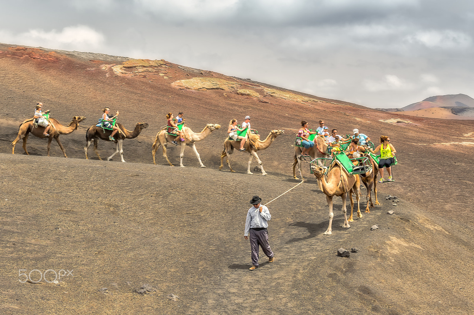 Pentax K-3 + Tamron SP AF 17-50mm F2.8 XR Di II LD Aspherical (IF) sample photo. Camels from lanzarote. photography