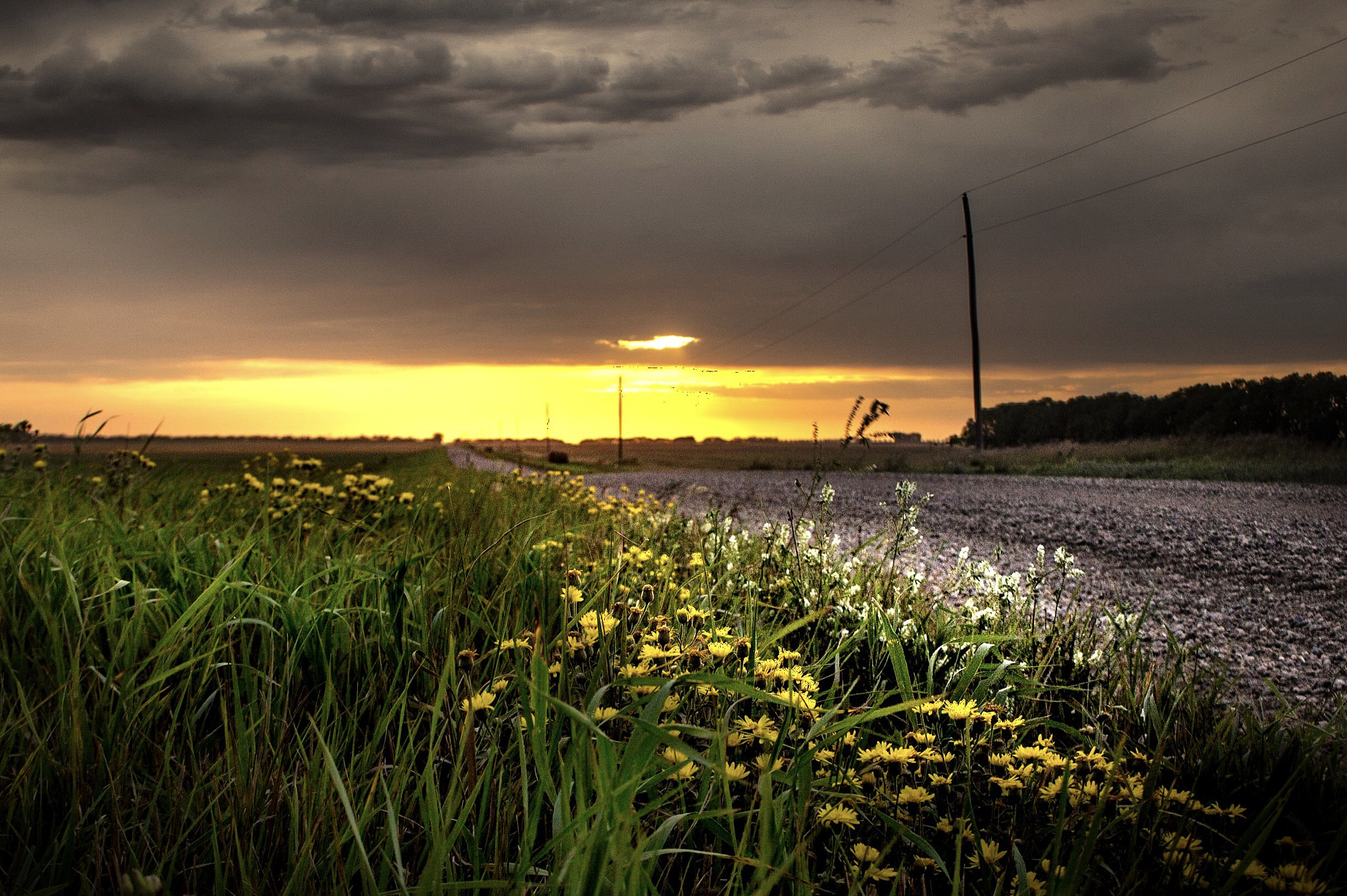 Canon EOS 600D (Rebel EOS T3i / EOS Kiss X5) sample photo. Sunset photography