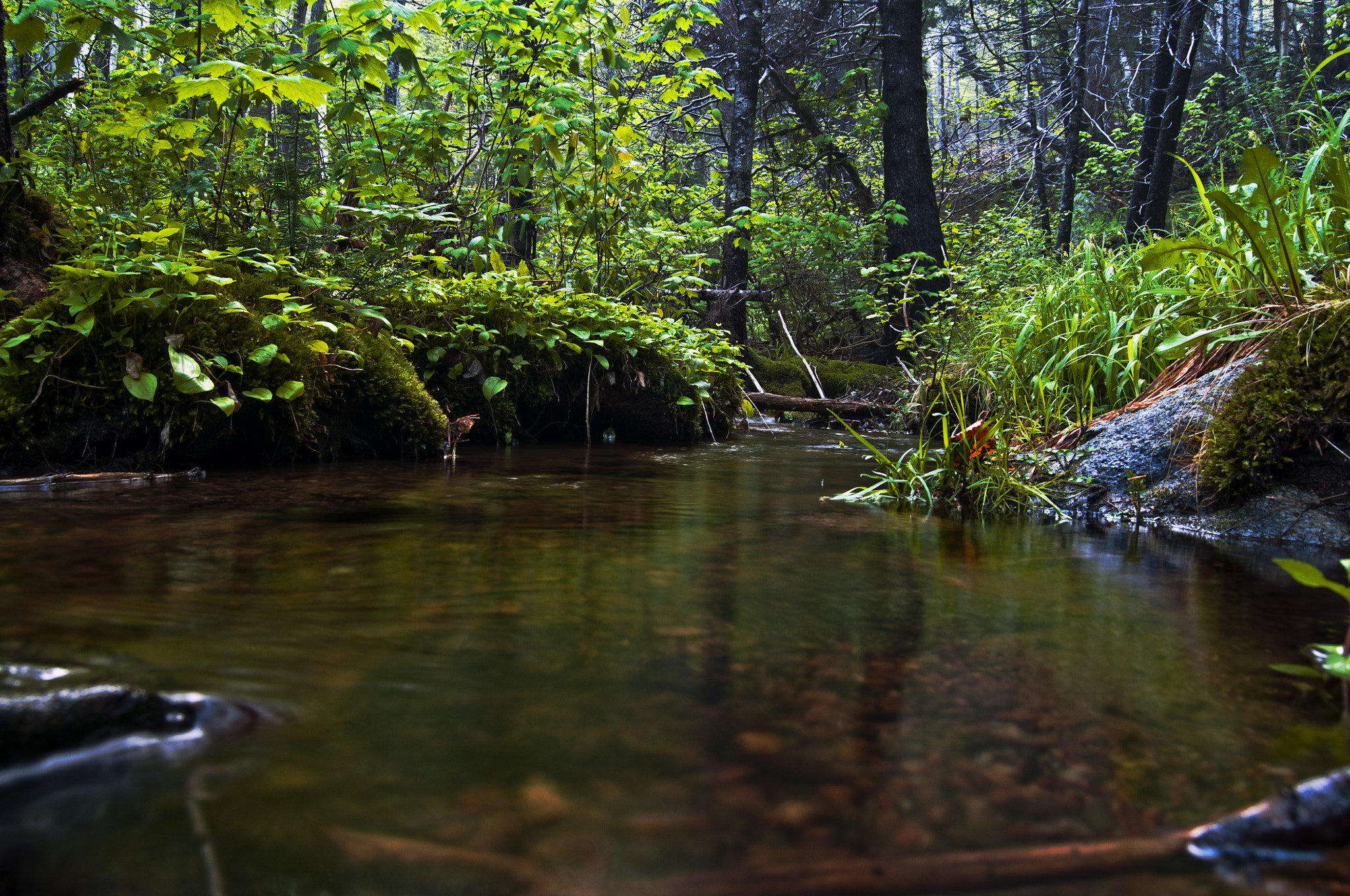 Nikon D300 sample photo. Trails photography
