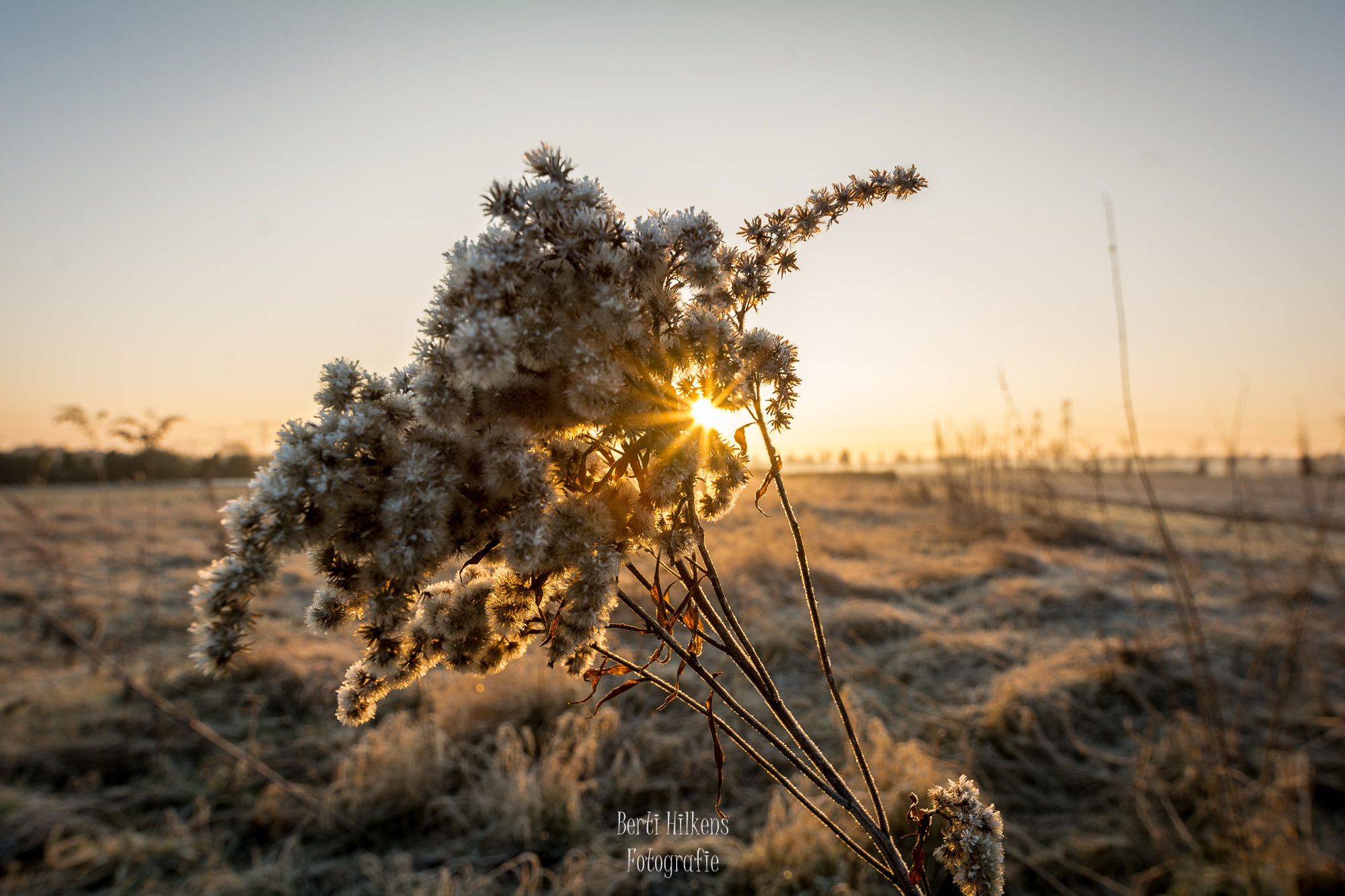 Tamron SP 15-30mm F2.8 Di VC USD sample photo. Sunrise photography