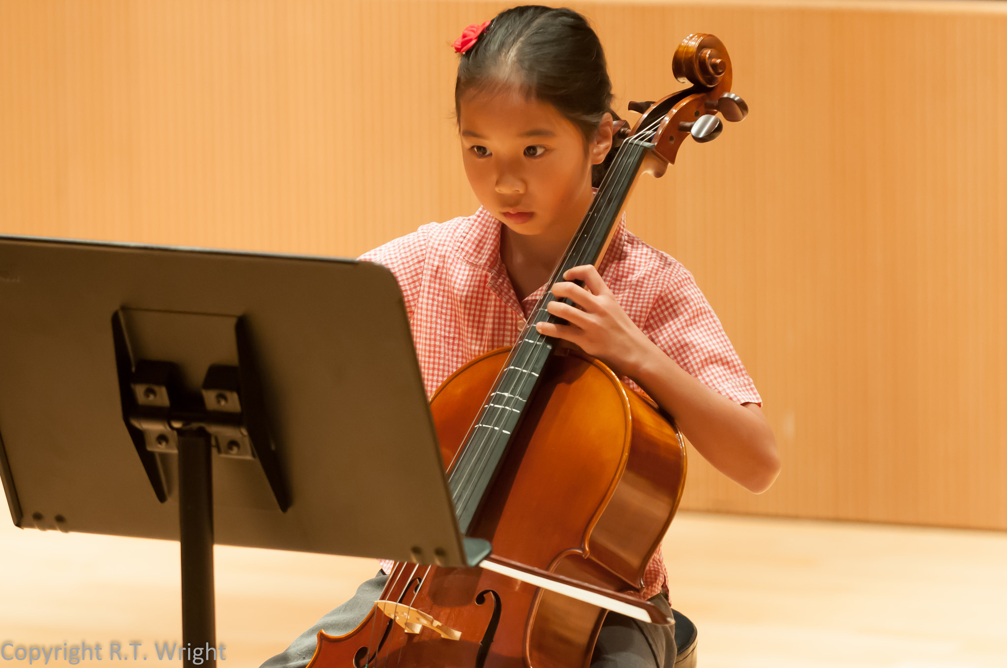 Nikon D300 sample photo. 7354257630.jpg photography