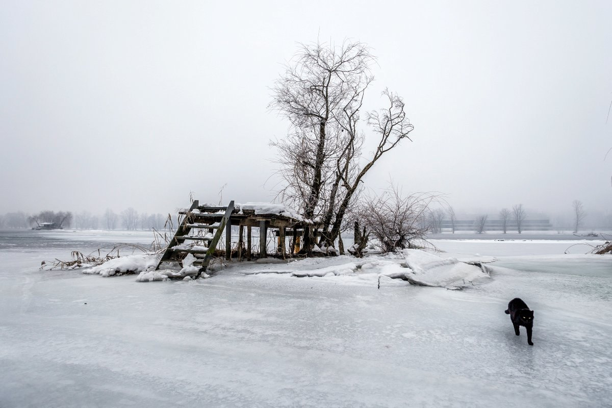 Canon EF 17-35mm f/2.8L sample photo. No fish today photography