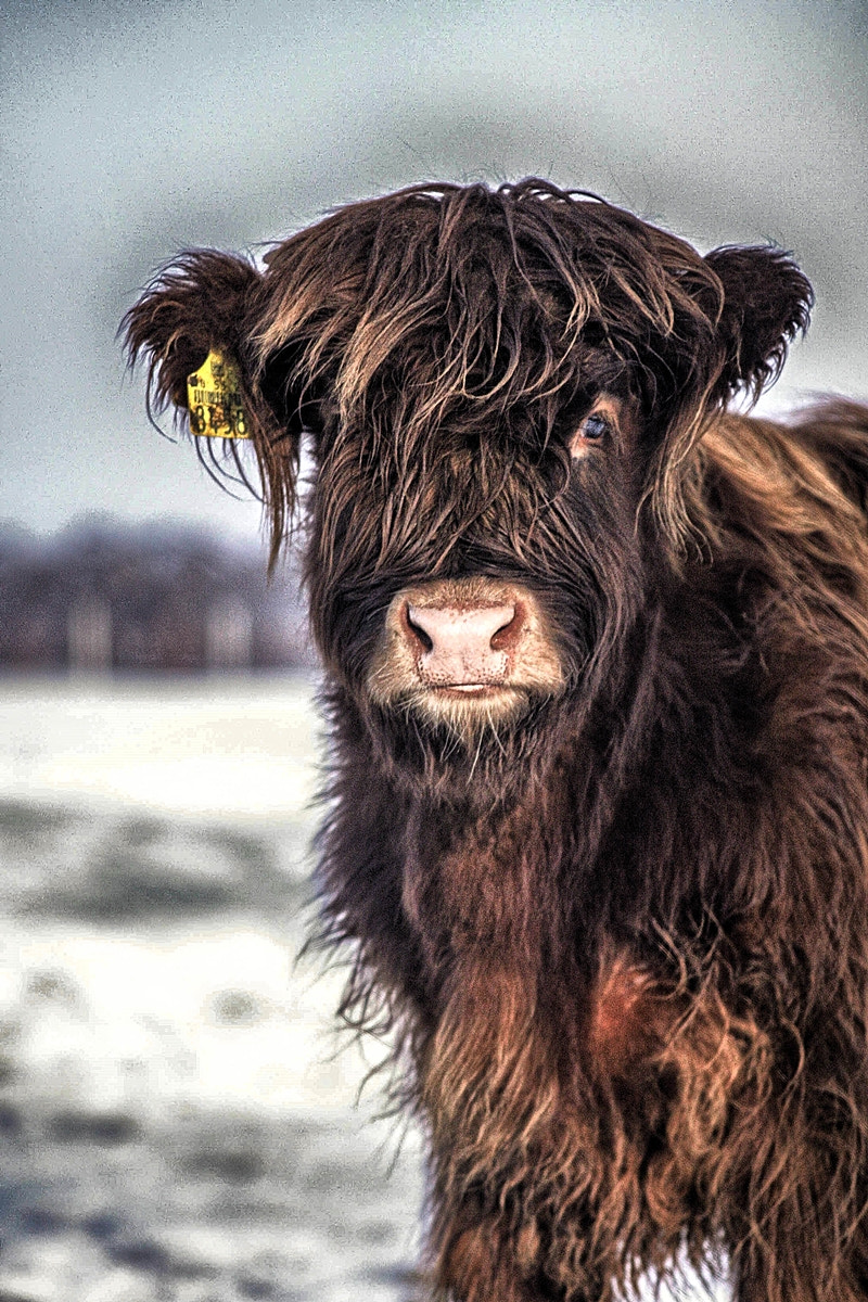 Canon EF 35-80mm f/4-5.6 sample photo. And i was so unkempt ( a ja taka nieuczesana) photography