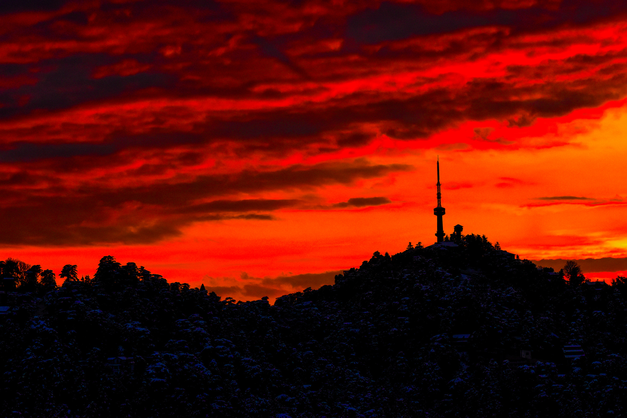 Nikon D5500 sample photo. Shimla photography