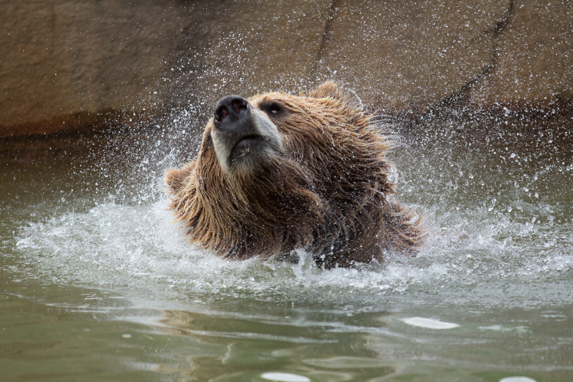 Canon EF 70-200mm F2.8L IS II USM sample photo. Splash! photography