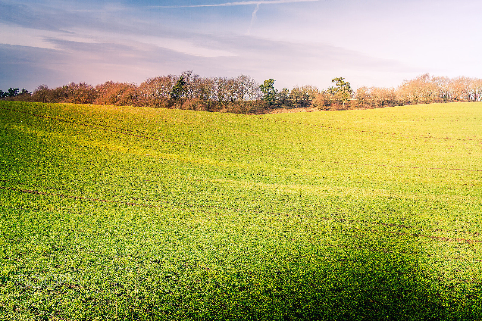 Canon EOS 7D + Canon EF 16-35mm F2.8L USM sample photo. Curvy field photography