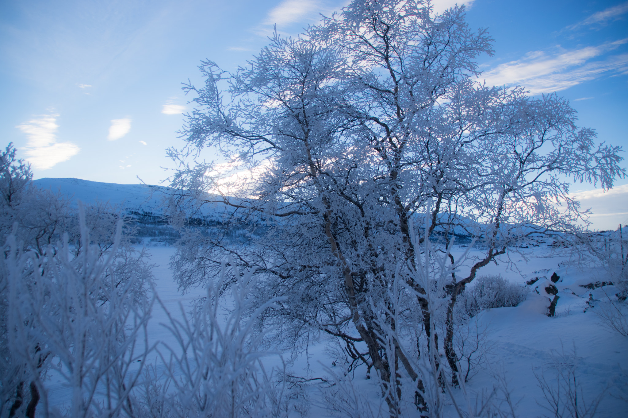 Pentax K-3 II + Sigma 18-250mm F3.5-6.3 DC Macro OS HSM sample photo. A winter chant photography