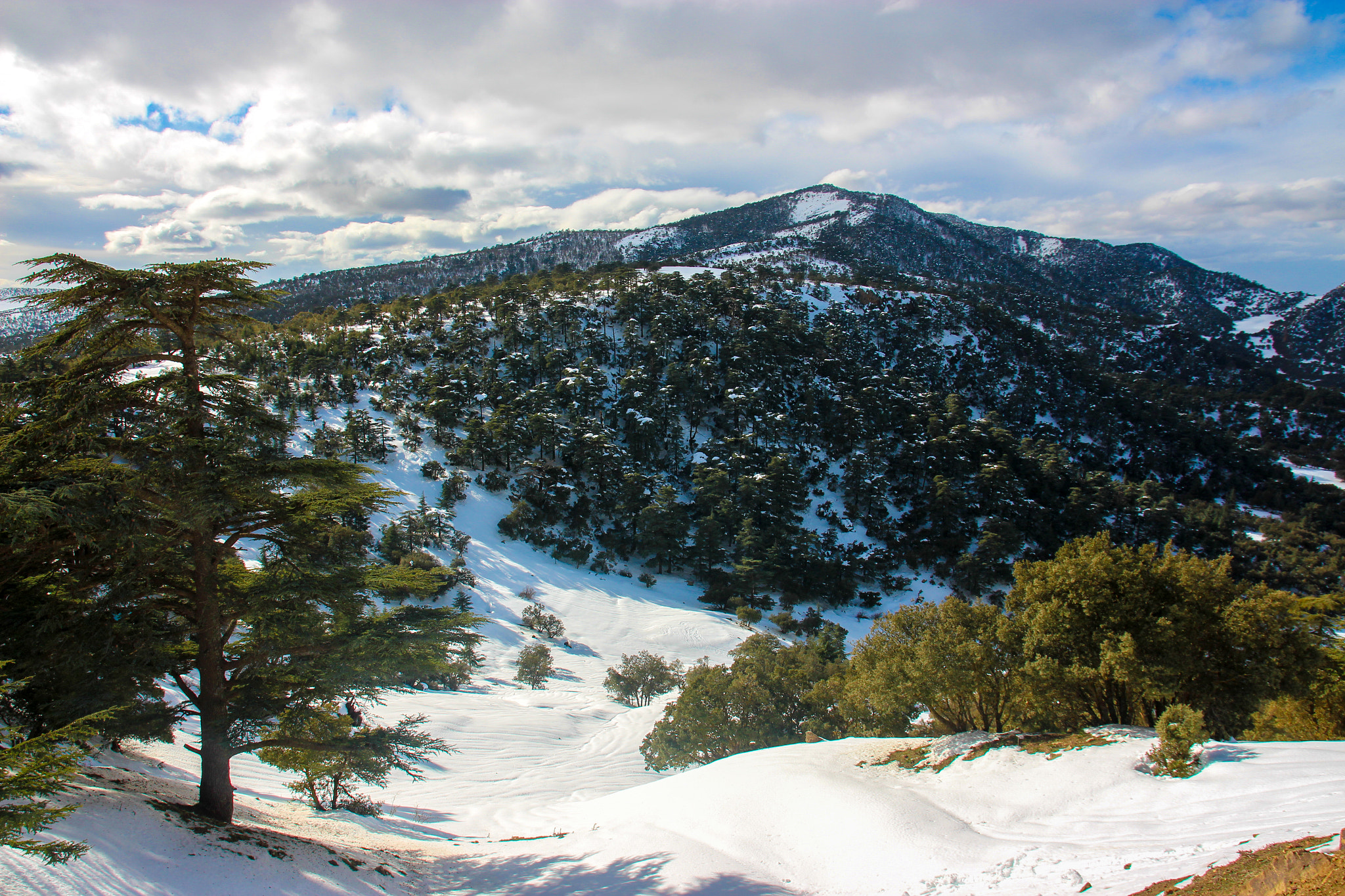 Canon EOS 650D (EOS Rebel T4i / EOS Kiss X6i) sample photo. Algerian nature ♥ photography