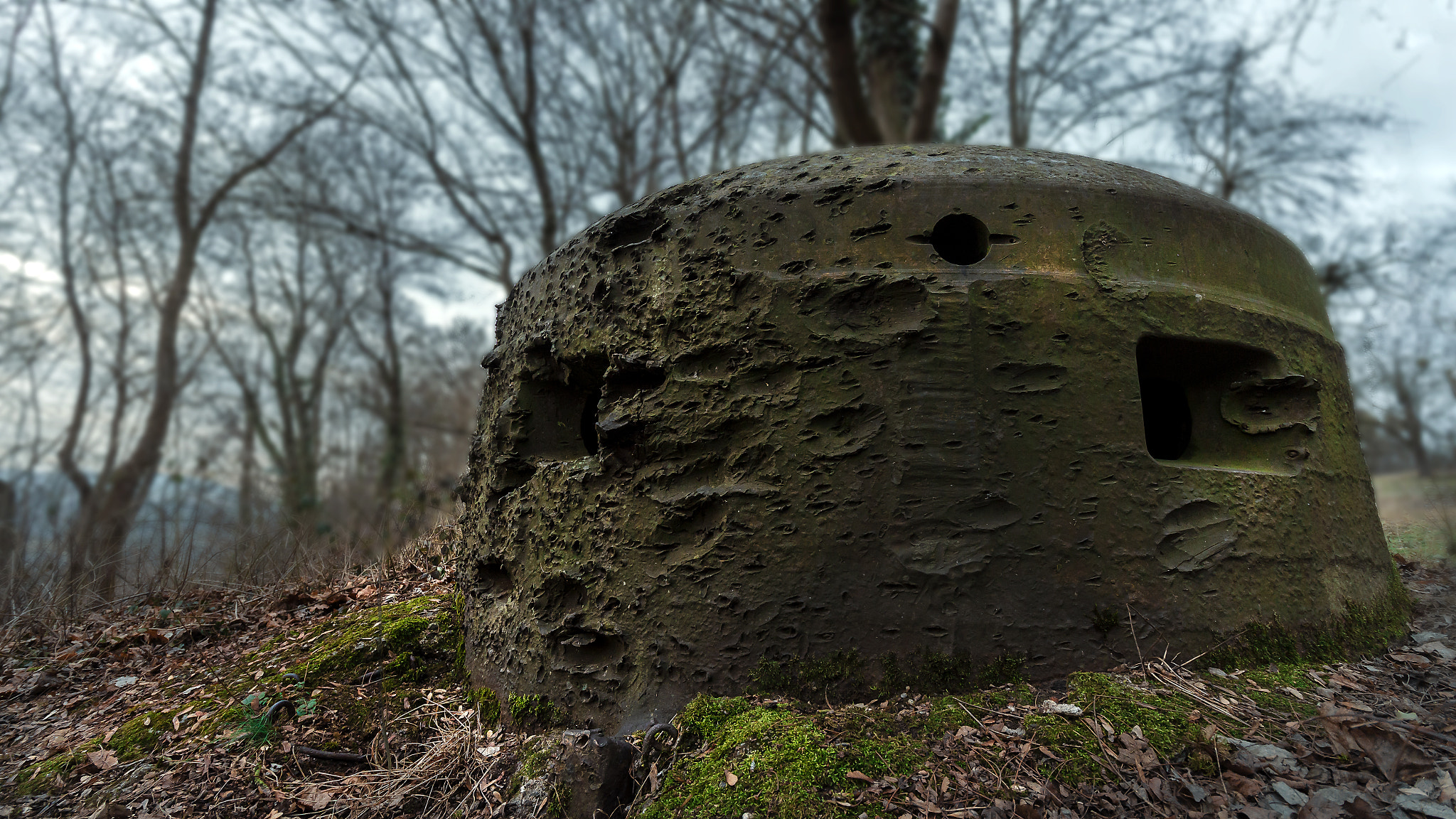 Canon EOS 650D (EOS Rebel T4i / EOS Kiss X6i) sample photo. Westwall photography