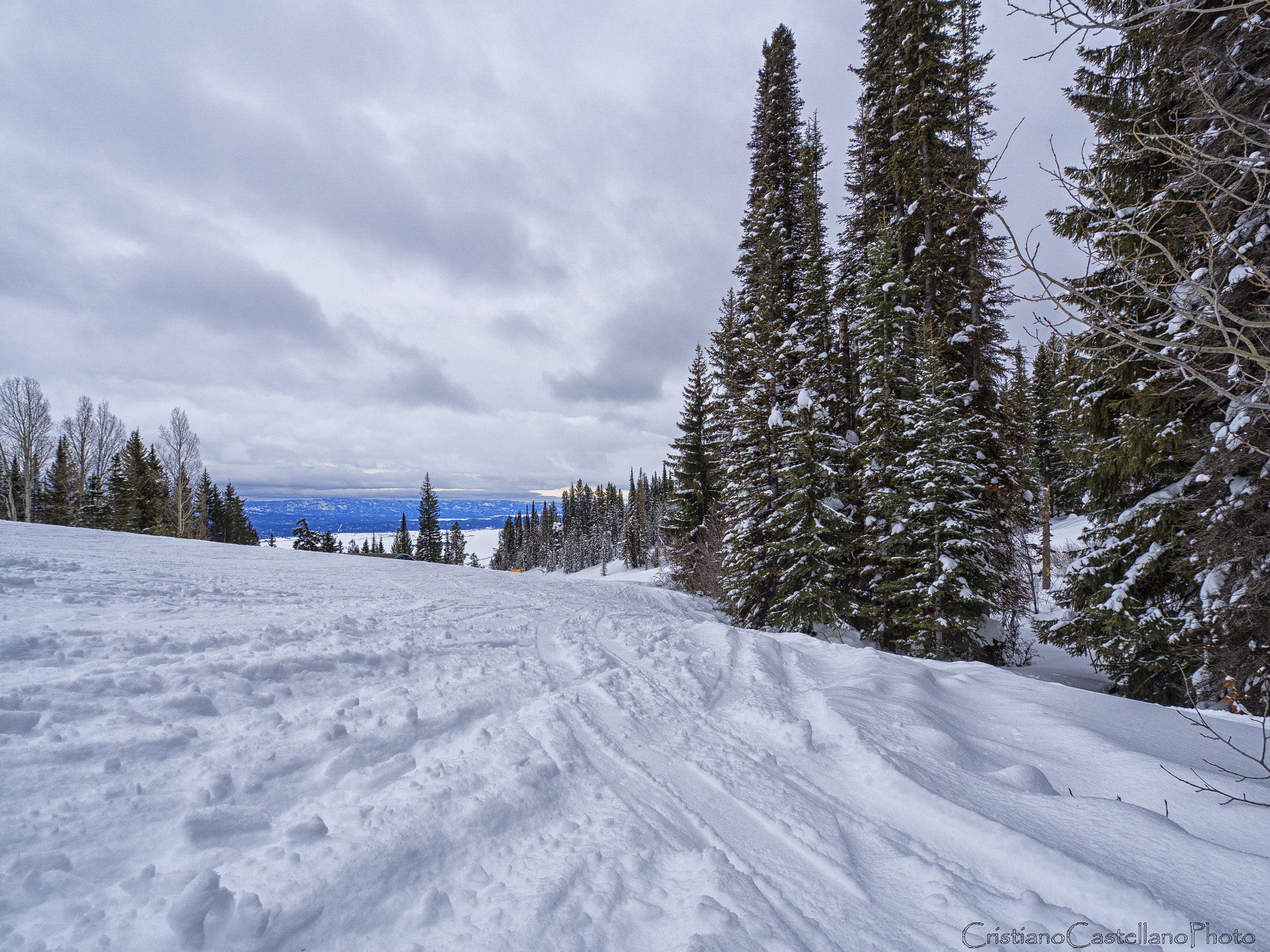 OLYMPUS M.9-18mm F4.0-5.6 sample photo. Snow in tamarack photography