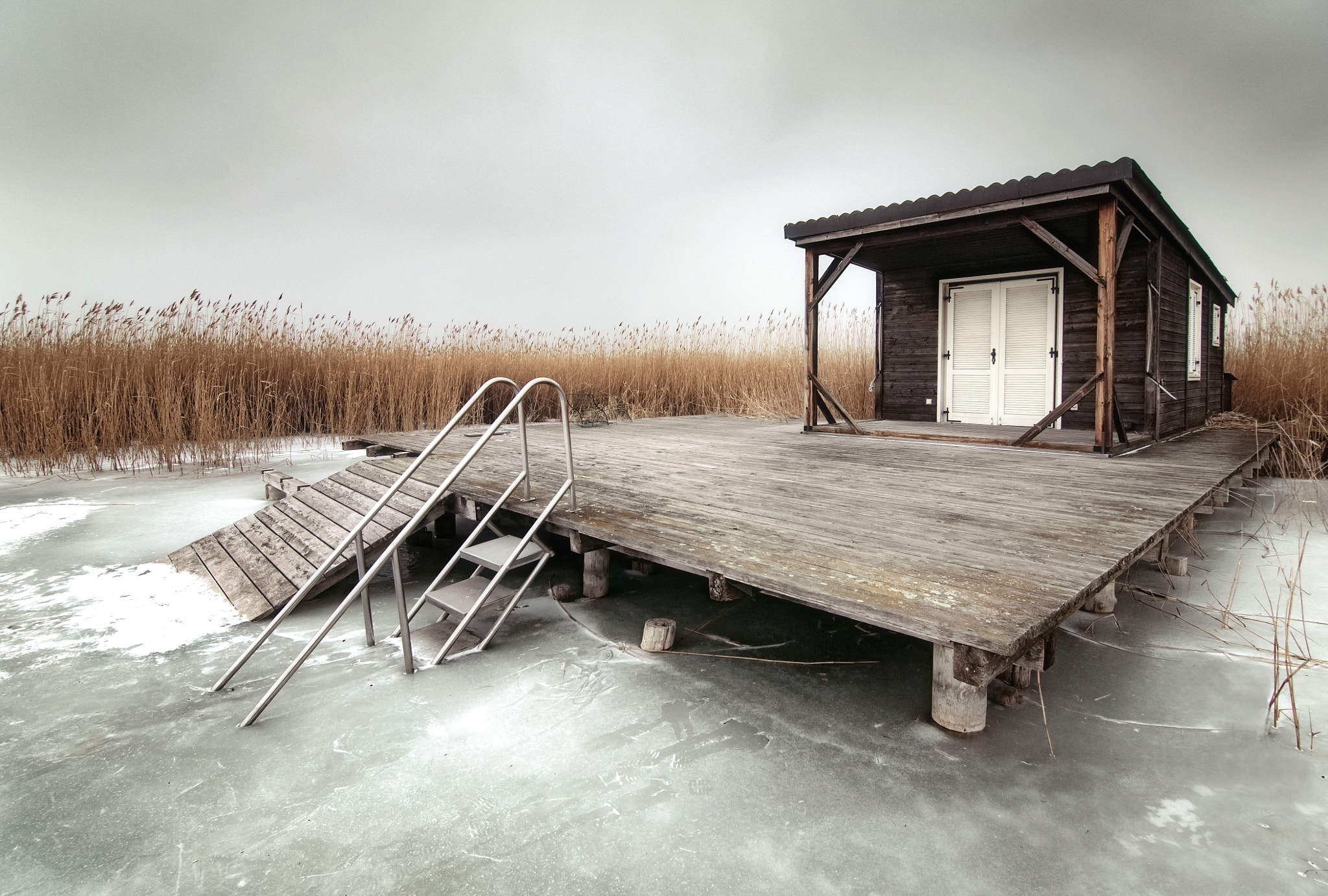 Nikon D300 sample photo. Frozen photography