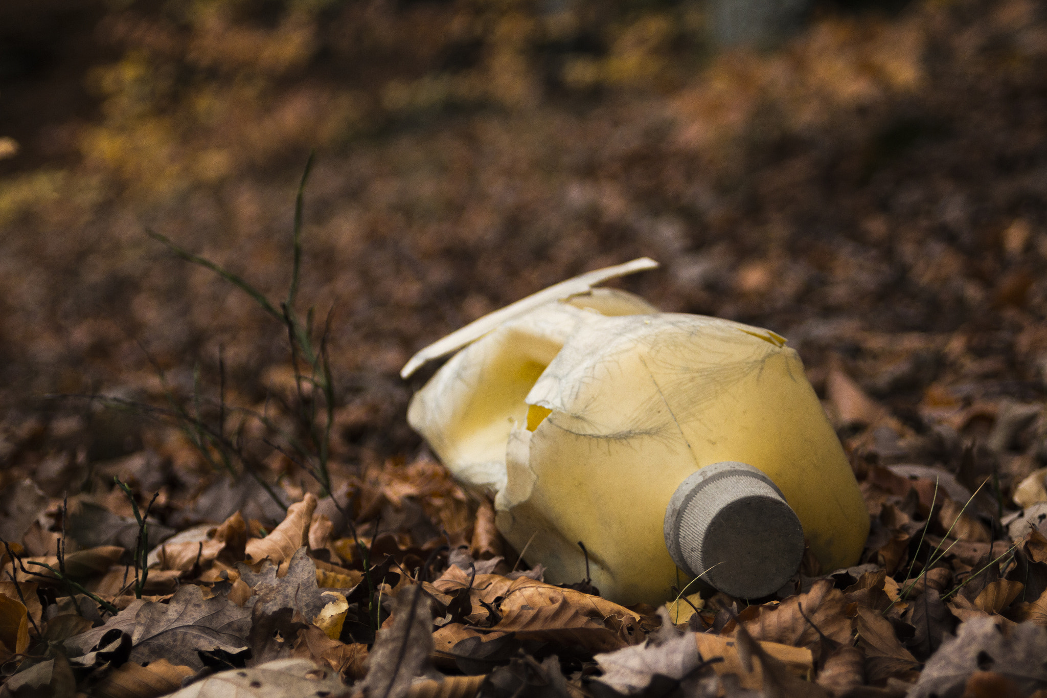 Canon EF 35-70mm f/3.5-4.5A sample photo. Thrash in the forrest photography