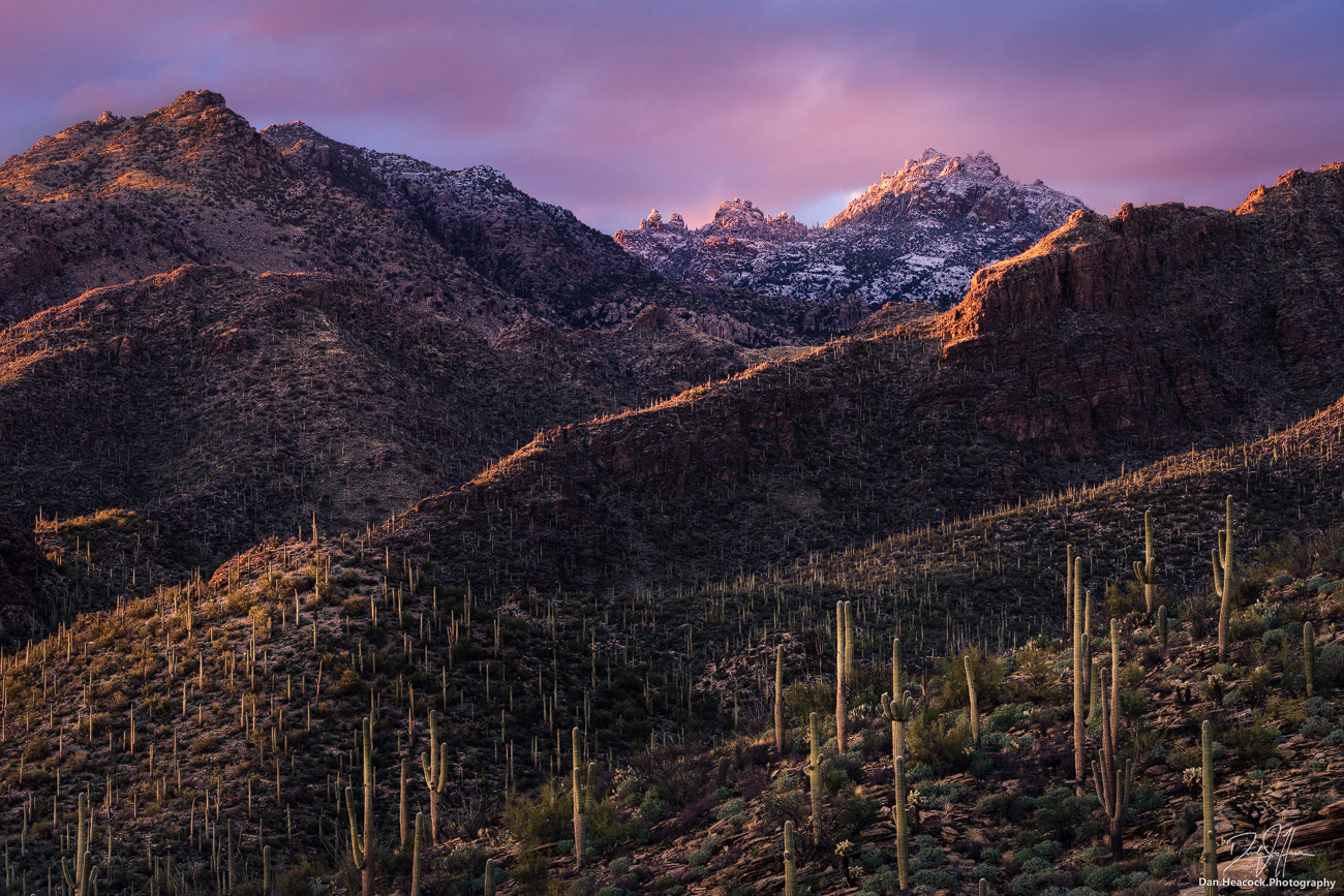 Nikon D800 sample photo. Snowy sky islands photography