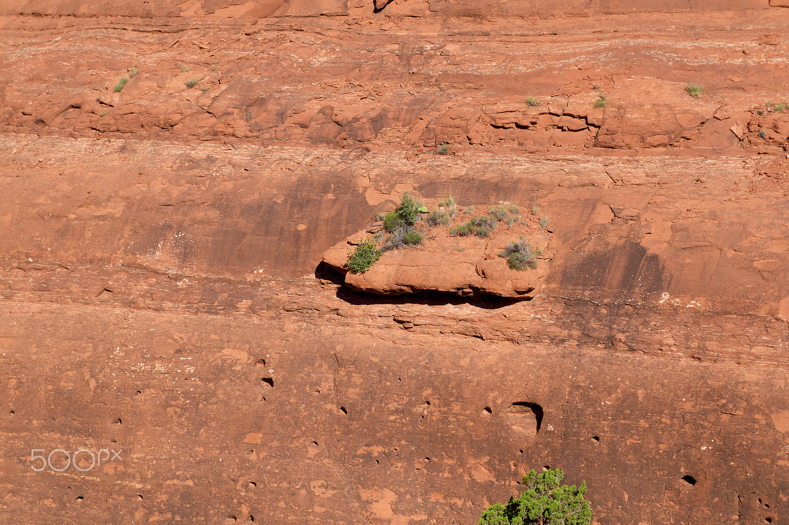 Sony E 18-55mm F3.5-5.6 OSS sample photo. Sedona arizona photography