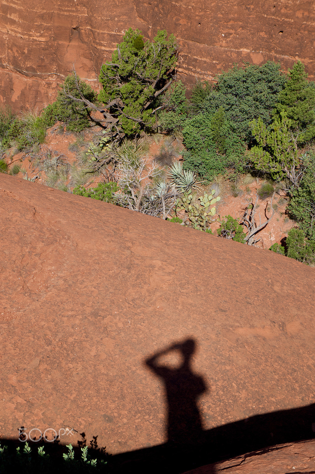 Sony E 18-55mm F3.5-5.6 OSS sample photo. Sedona arizona photography
