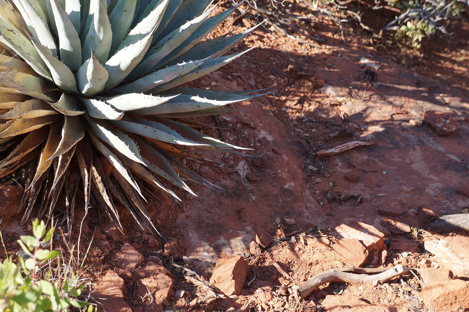 Sony E 18-55mm F3.5-5.6 OSS sample photo. Sedona arizona photography