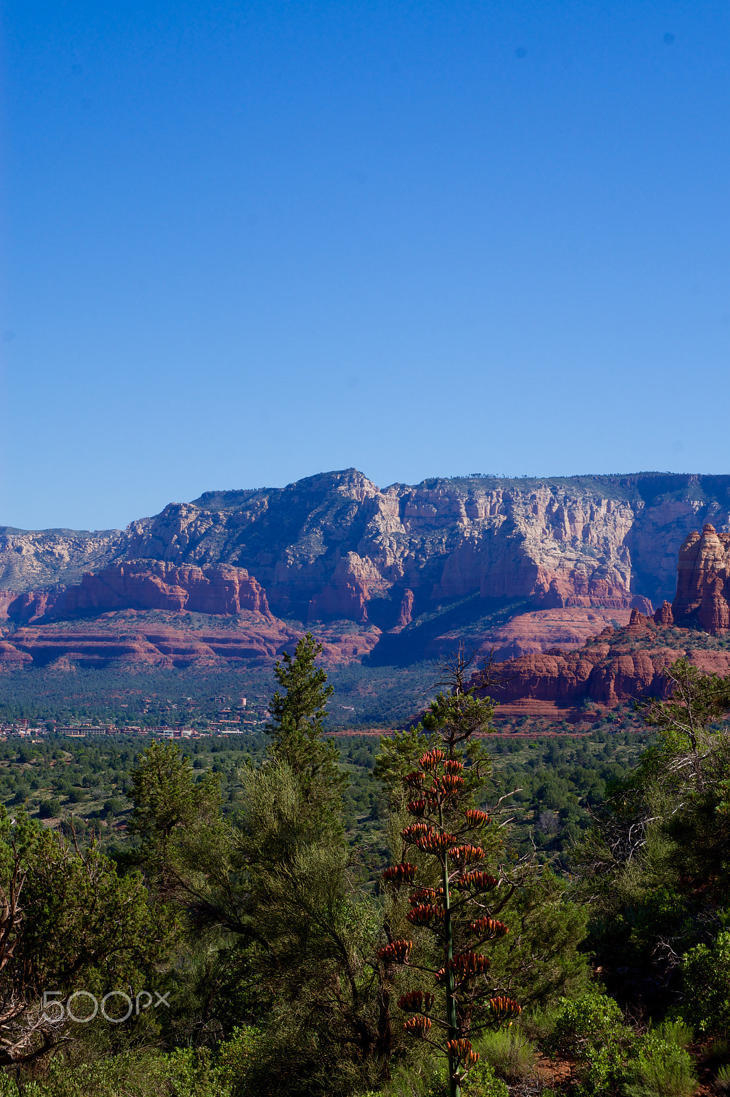 Sony E 18-55mm F3.5-5.6 OSS sample photo. Sedona arizona photography