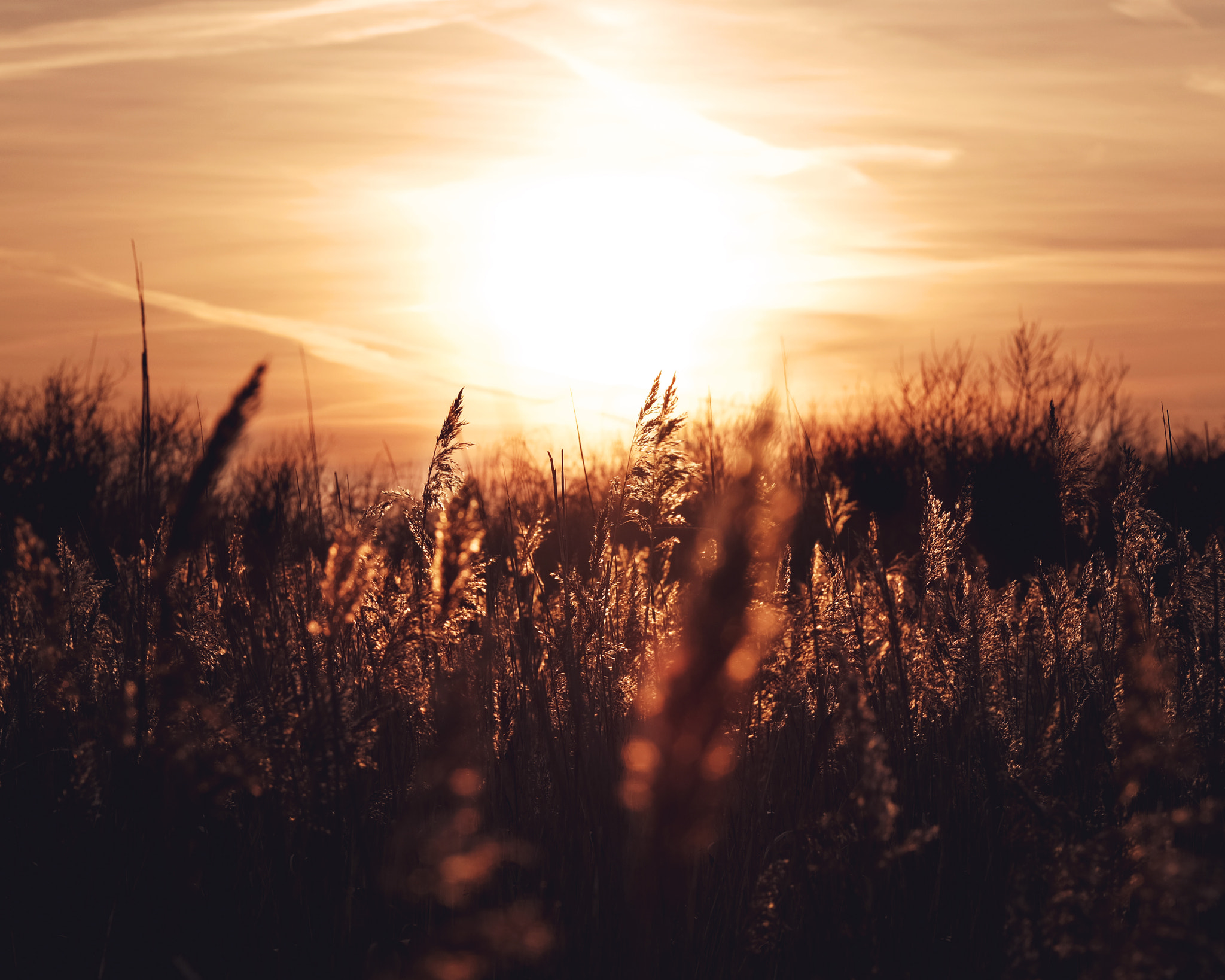 Fujifilm X-T10 + Fujifilm XF 90mm F2 R LM WR sample photo. Hunting for the sunset. photography