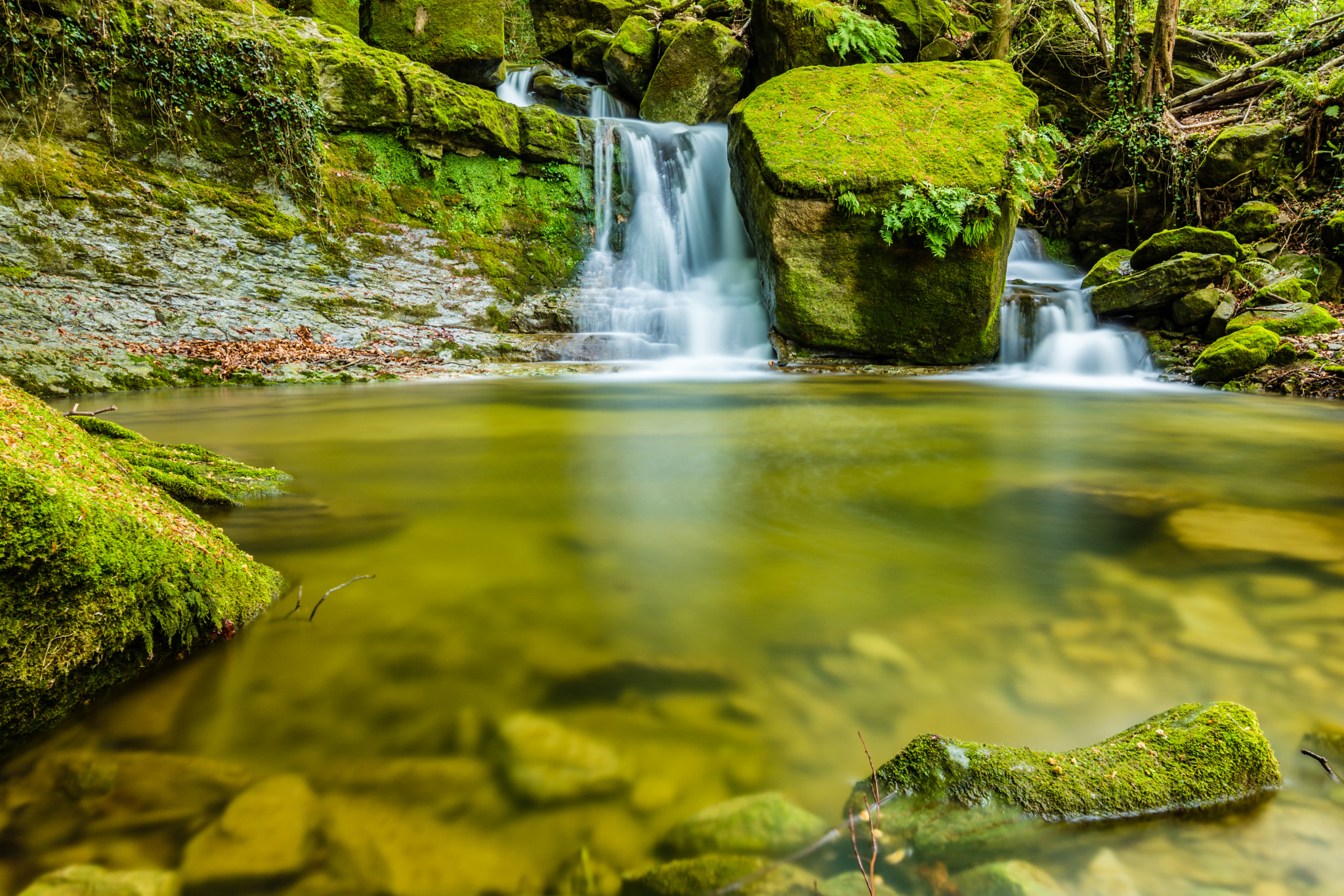 Nikon AF-S Nikkor 18-35mm F3.5-4.5G ED sample photo. Green little heaven photography