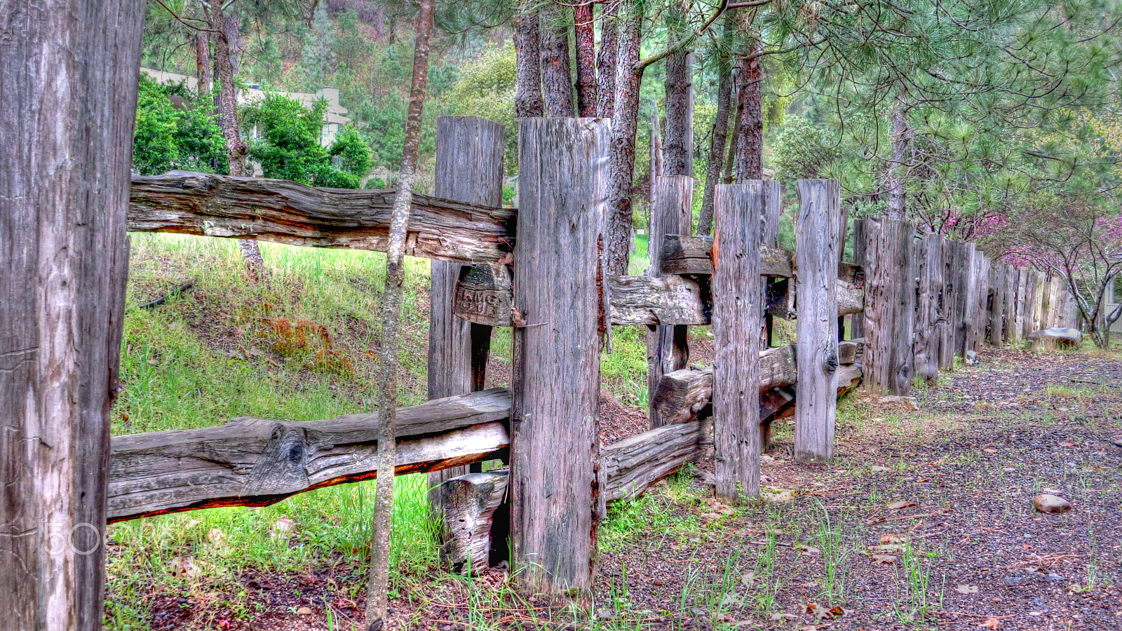 Canon PowerShot ELPH 330 HS (IXUS 255 HS / IXY 610F) sample photo. Fence in el portal o photography