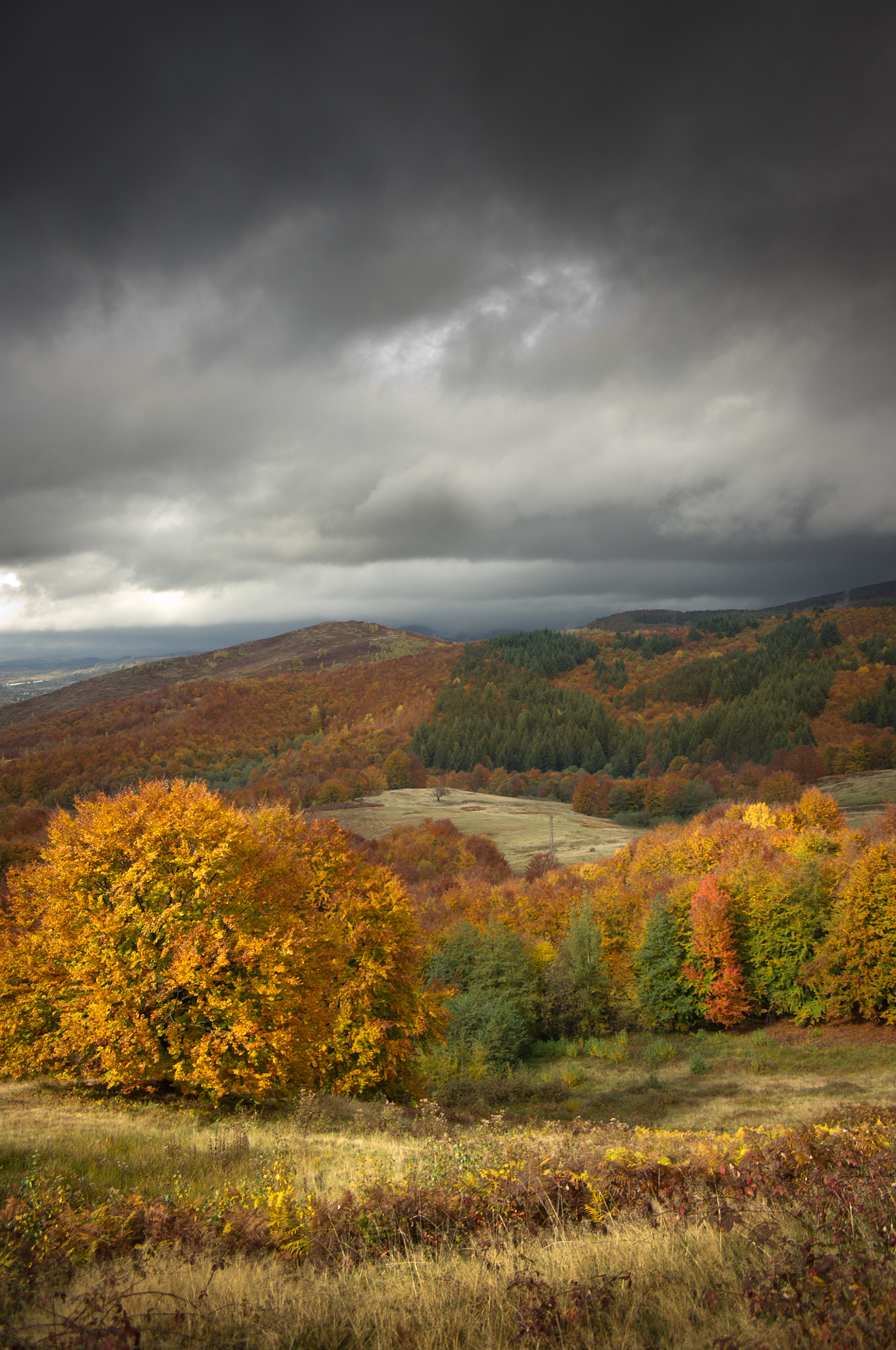 Pentax K-x sample photo. Transylvania colors photography