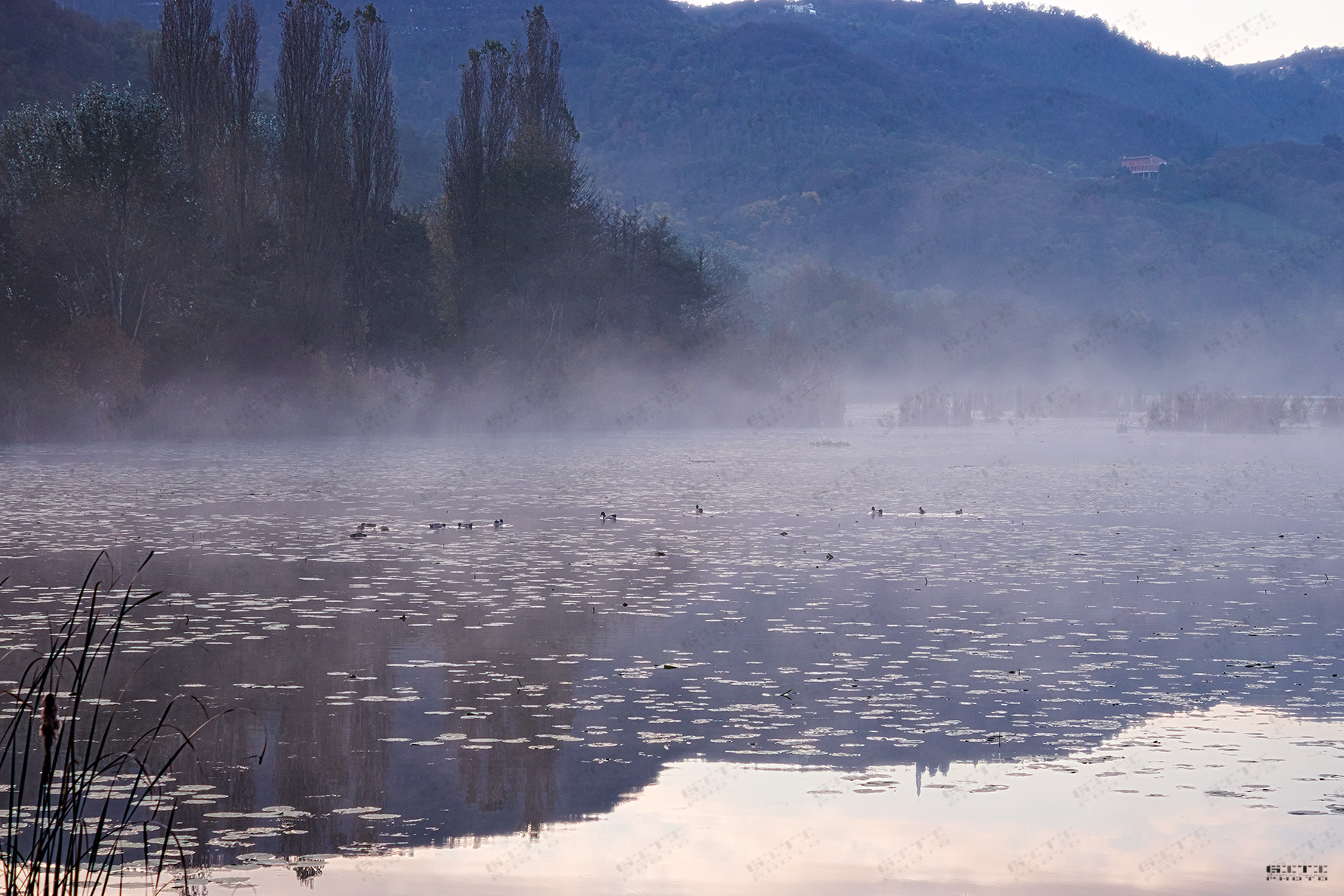 Canon EOS 760D (EOS Rebel T6s / EOS 8000D) sample photo. Lago di fimon, vicenza photography