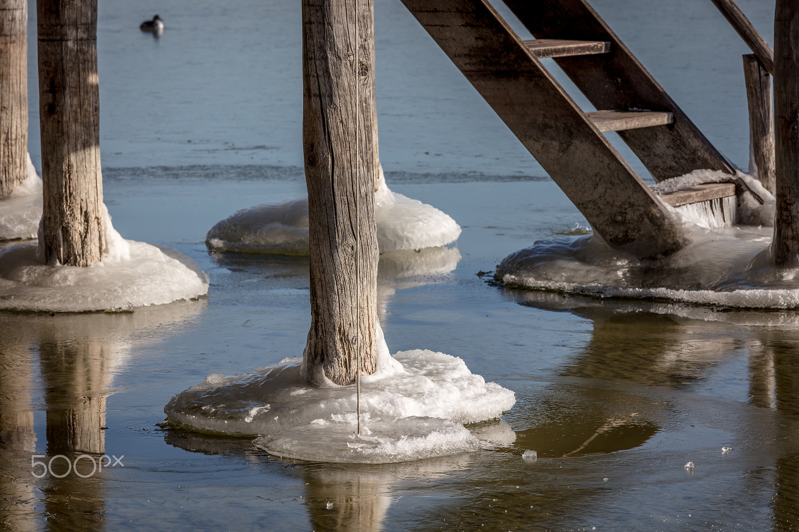 Canon EOS 5DS R + Canon EF 70-200mm F4L IS USM sample photo. Ice feets photography