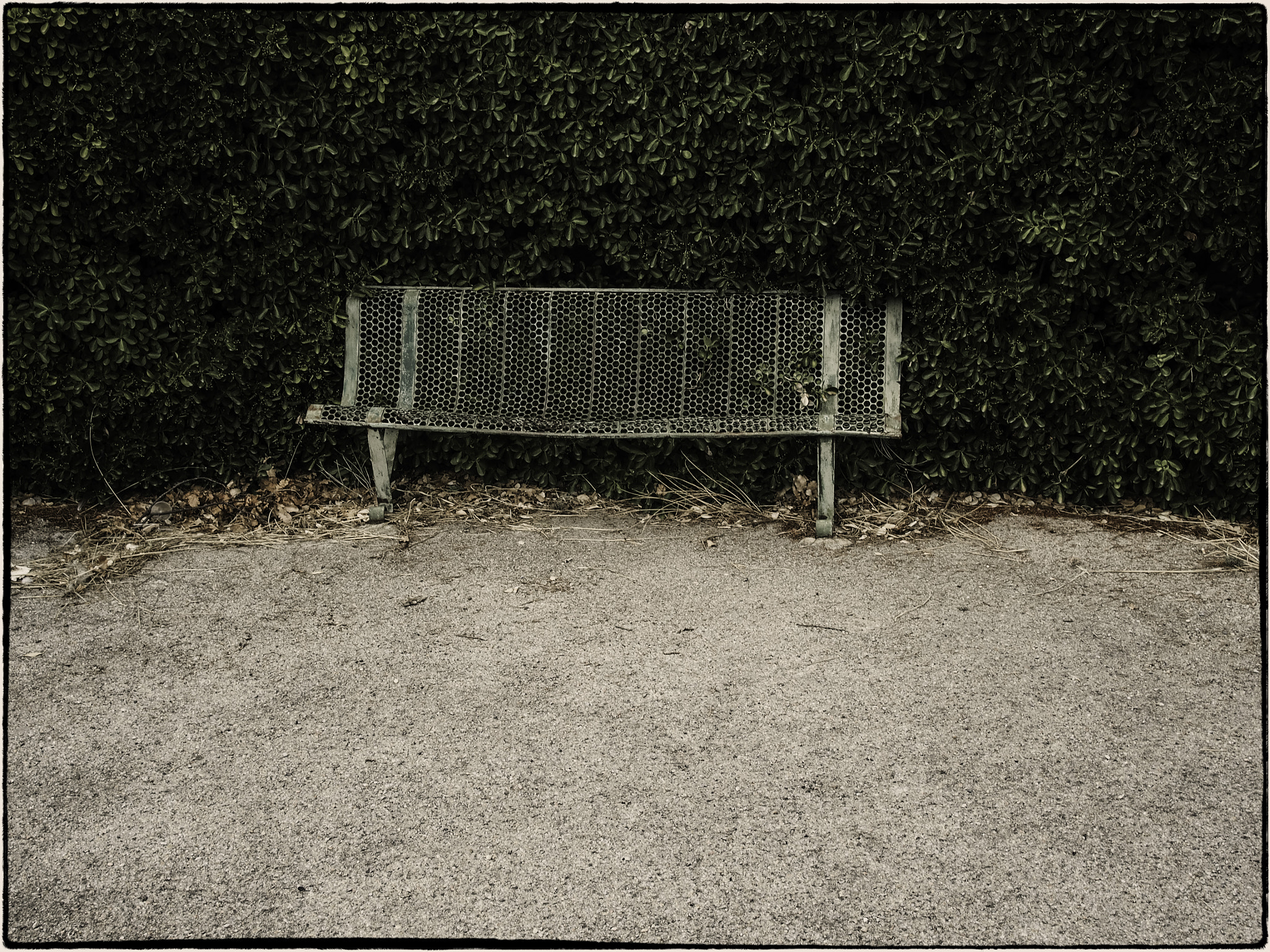 Olympus PEN E-P5 sample photo. Deserted park bench. photography