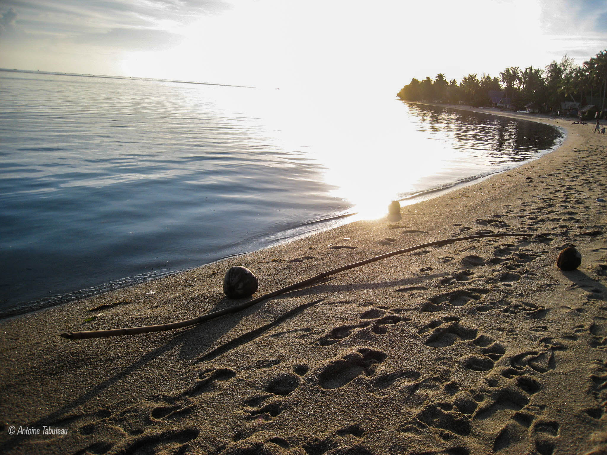 Canon DIGITAL IXUS 850 IS sample photo. Sea and coconuts photography