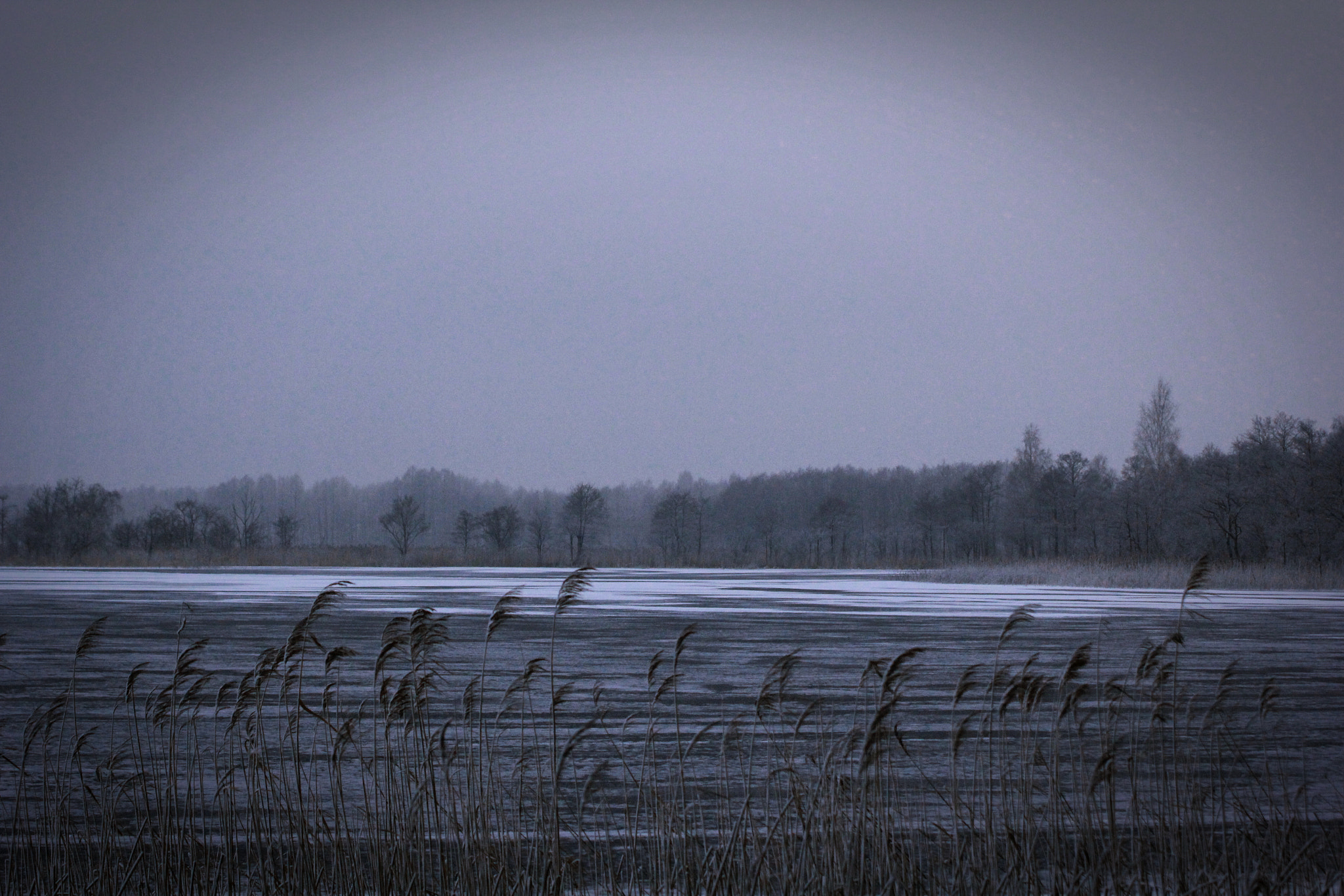Canon EOS 60D sample photo. Winter sea photography