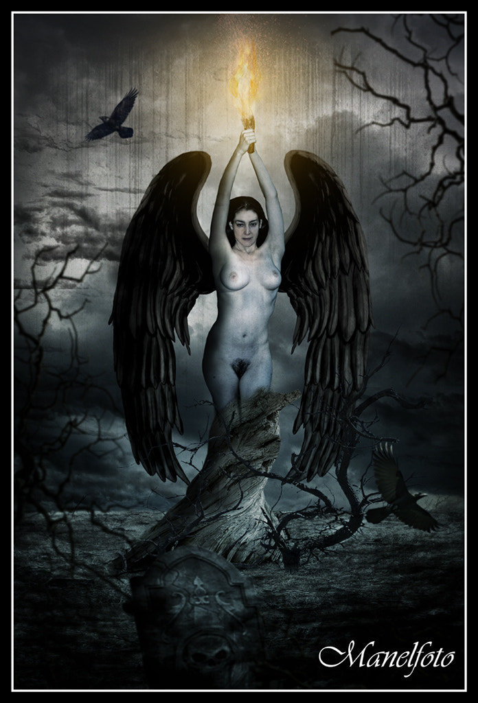 Sigma 18-250mm F3.5-6.3 DC OS HSM sample photo. Dark angel web photography