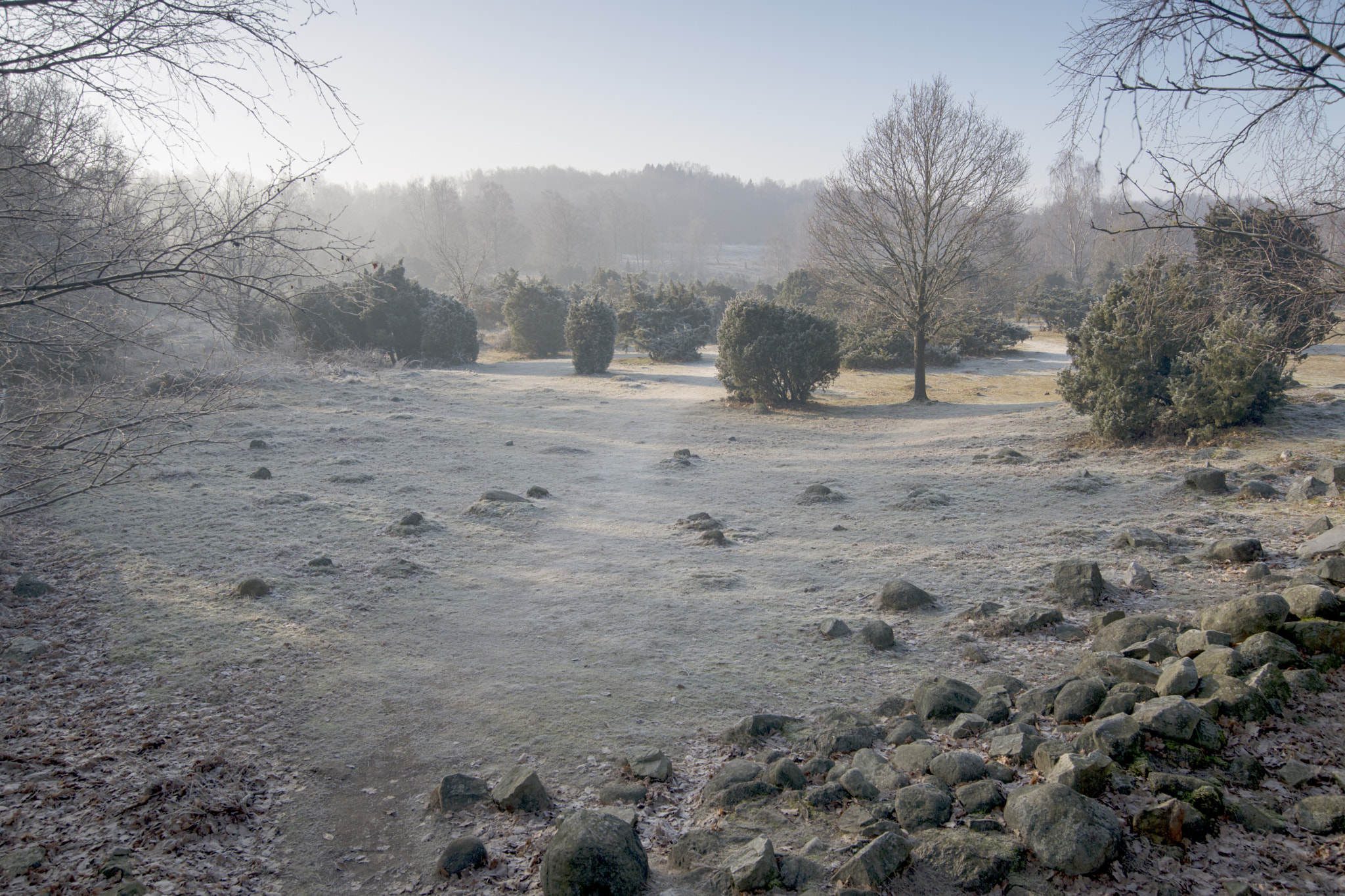 Nikon D800 sample photo. Winter landscape south sweden photography