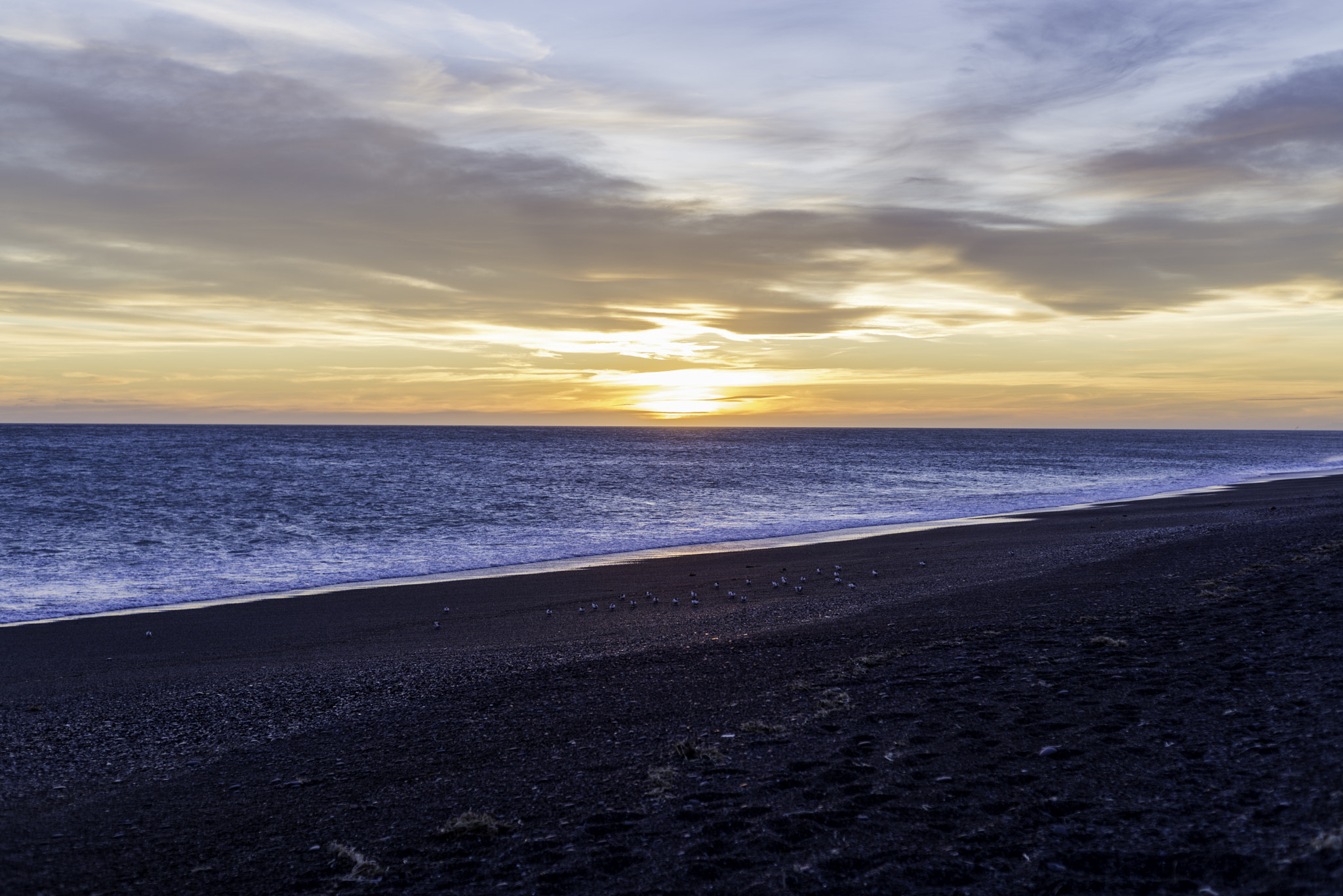 Nikon D610 + AF Nikkor 50mm f/1.8 sample photo. Birdlings flat shore at sunset photography