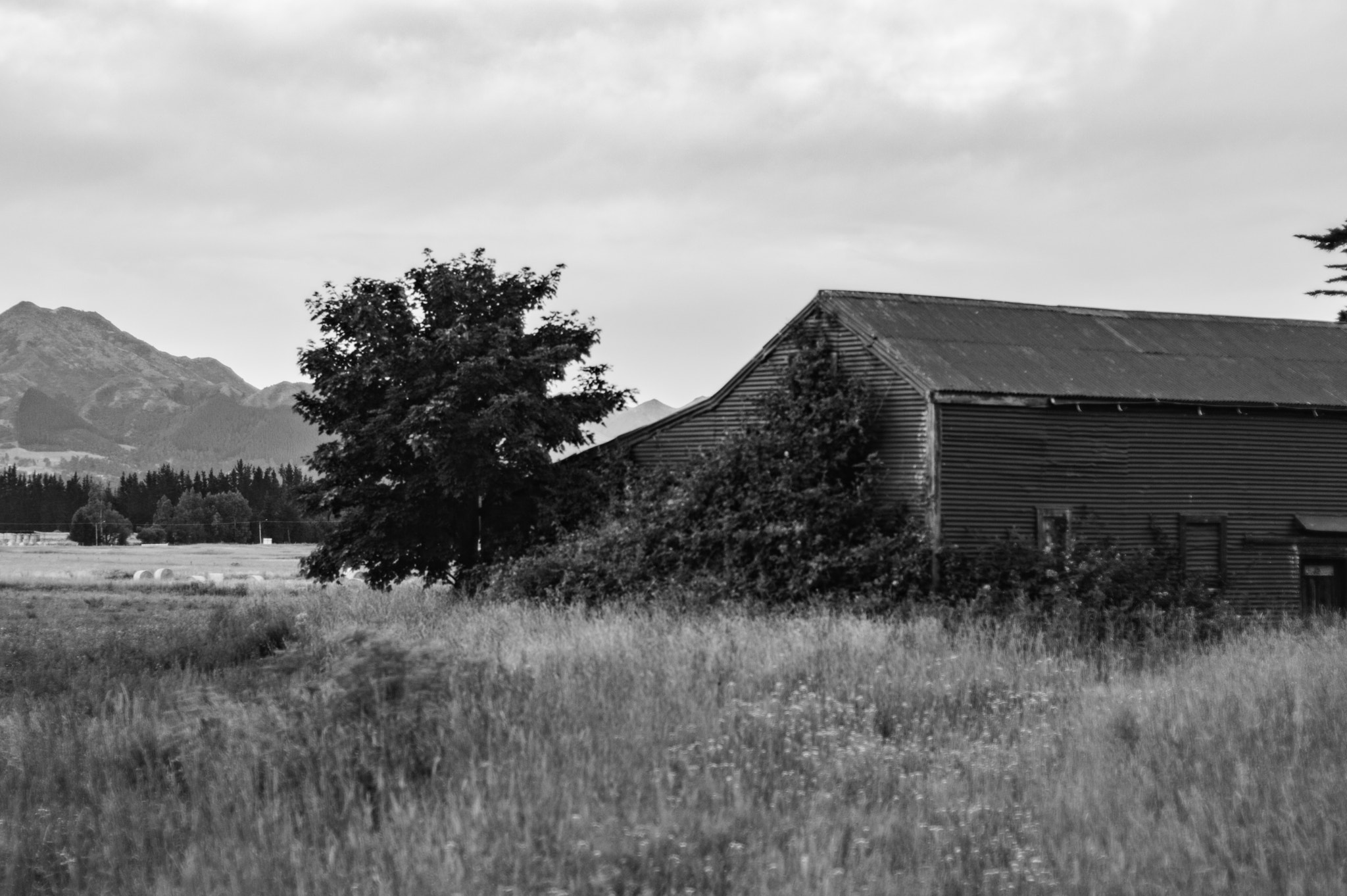 AF Nikkor 50mm f/1.8 sample photo. Rustic backdrop 2 photography