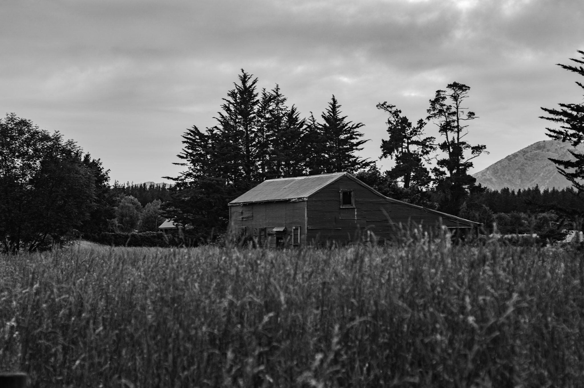 Nikon D3200 + AF Nikkor 50mm f/1.8 sample photo. Rustic backdrop 3 photography