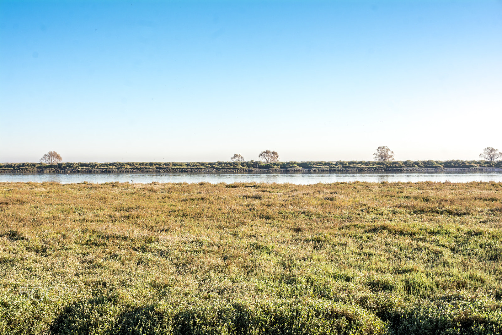 Nikon D7100 + Sigma 30mm F1.4 EX DC HSM sample photo. Winter grass and sky photography