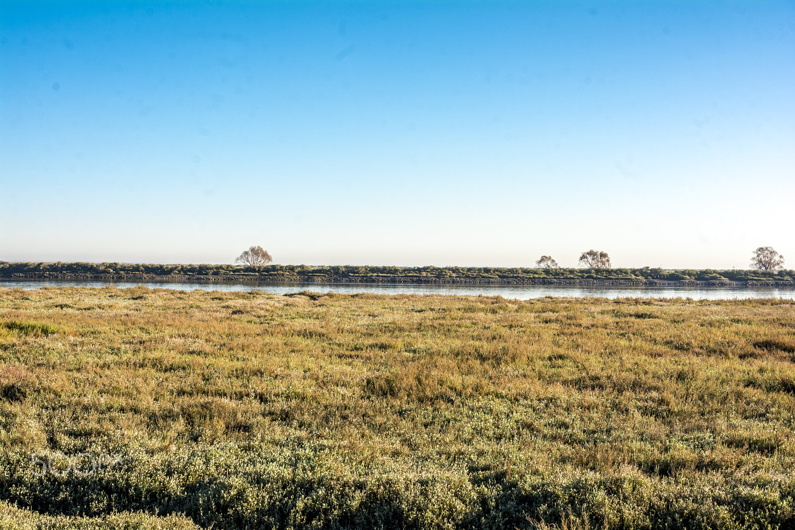 Nikon D7100 + Sigma 30mm F1.4 EX DC HSM sample photo. Winter grass and sky photography